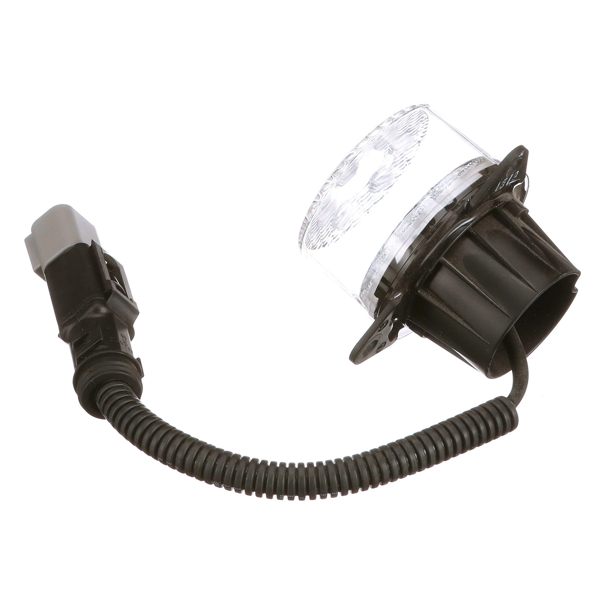 TURN/SMV LAMP | CASECE | AMEA | EN