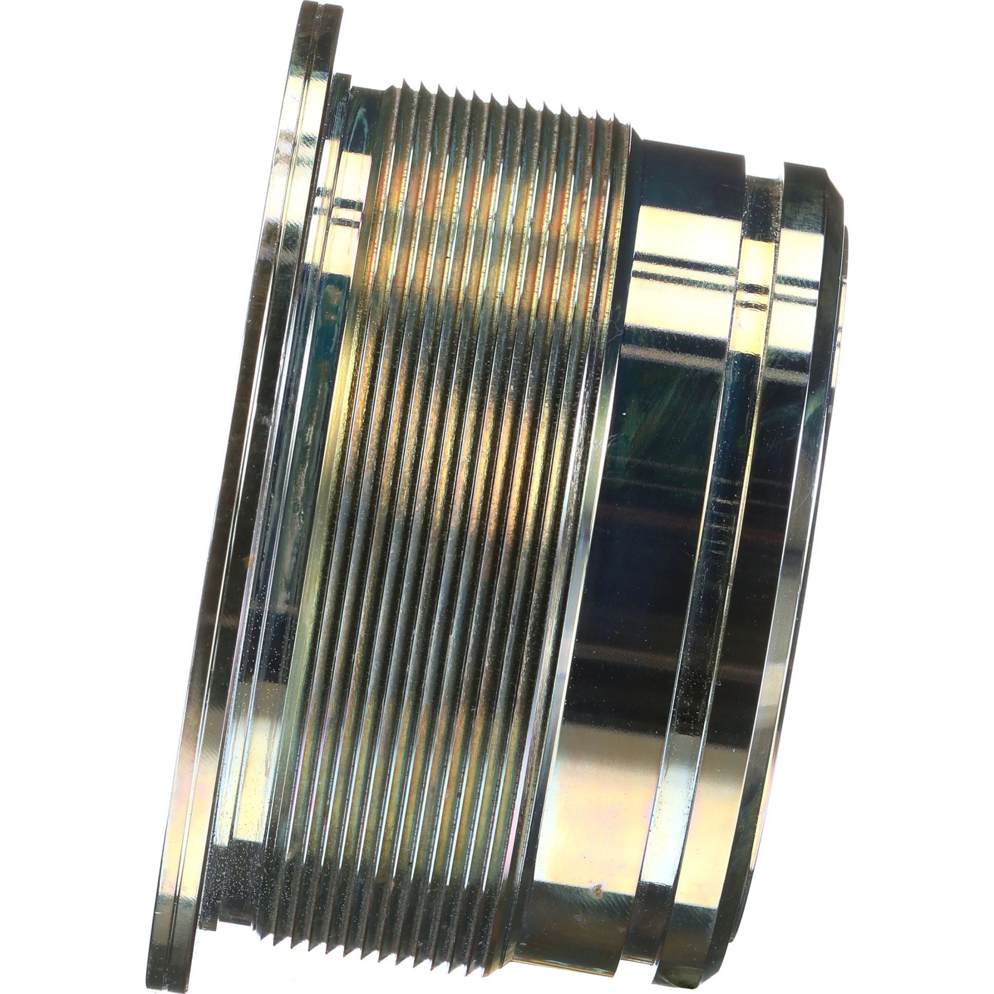 GLAND | CASECE | CA | EN