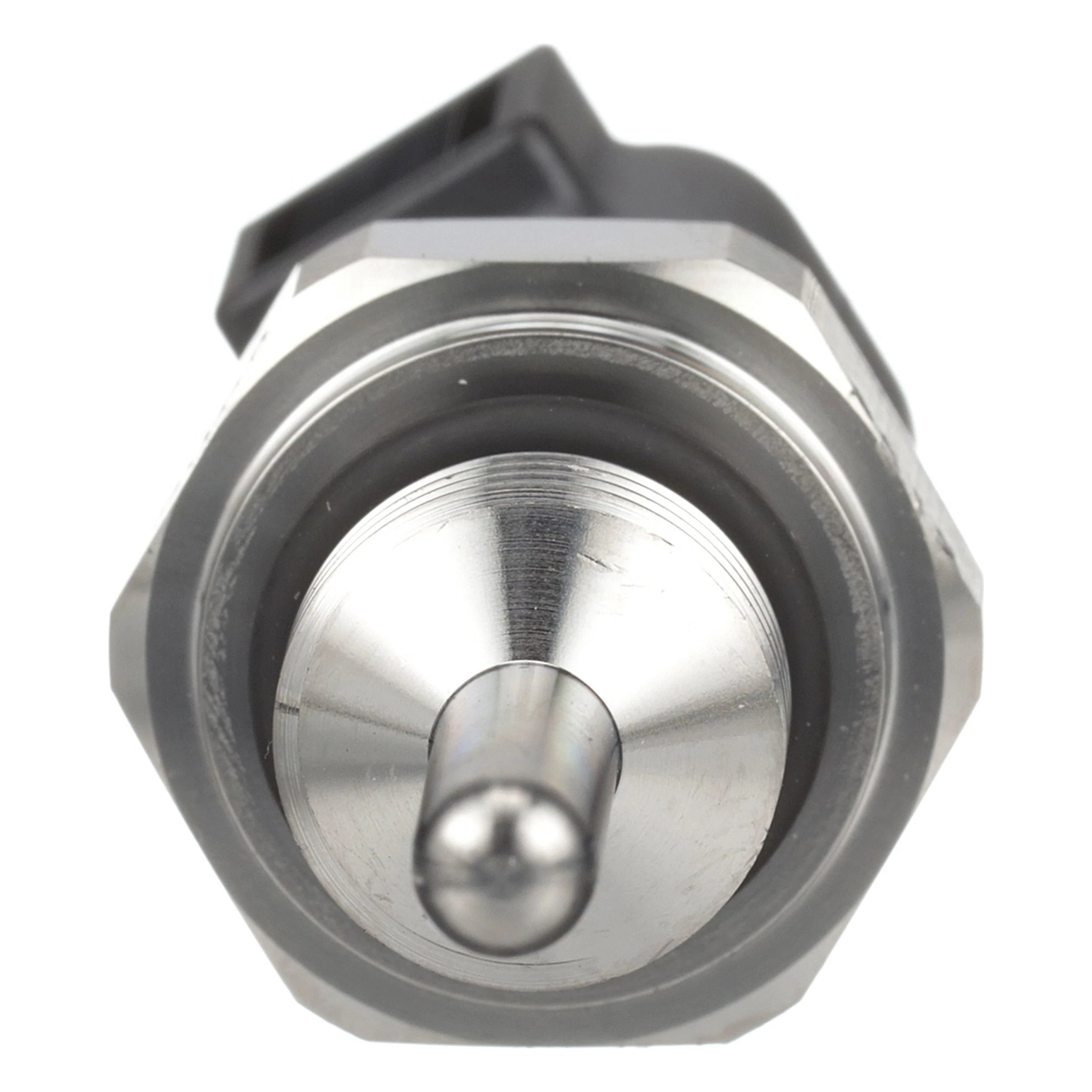 TERMOSONDA | CASECE | EU | PT