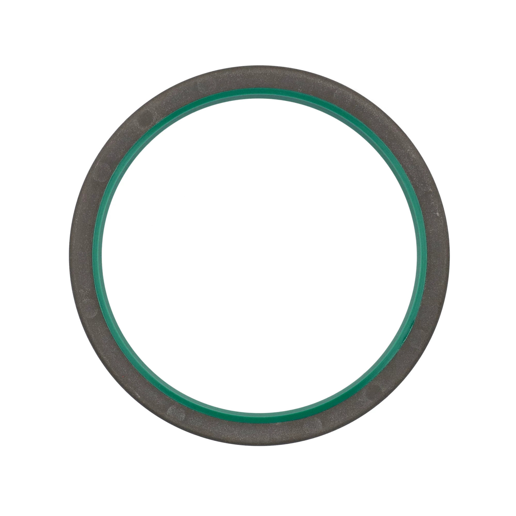 SEALING RING | CASEIH | US | EN