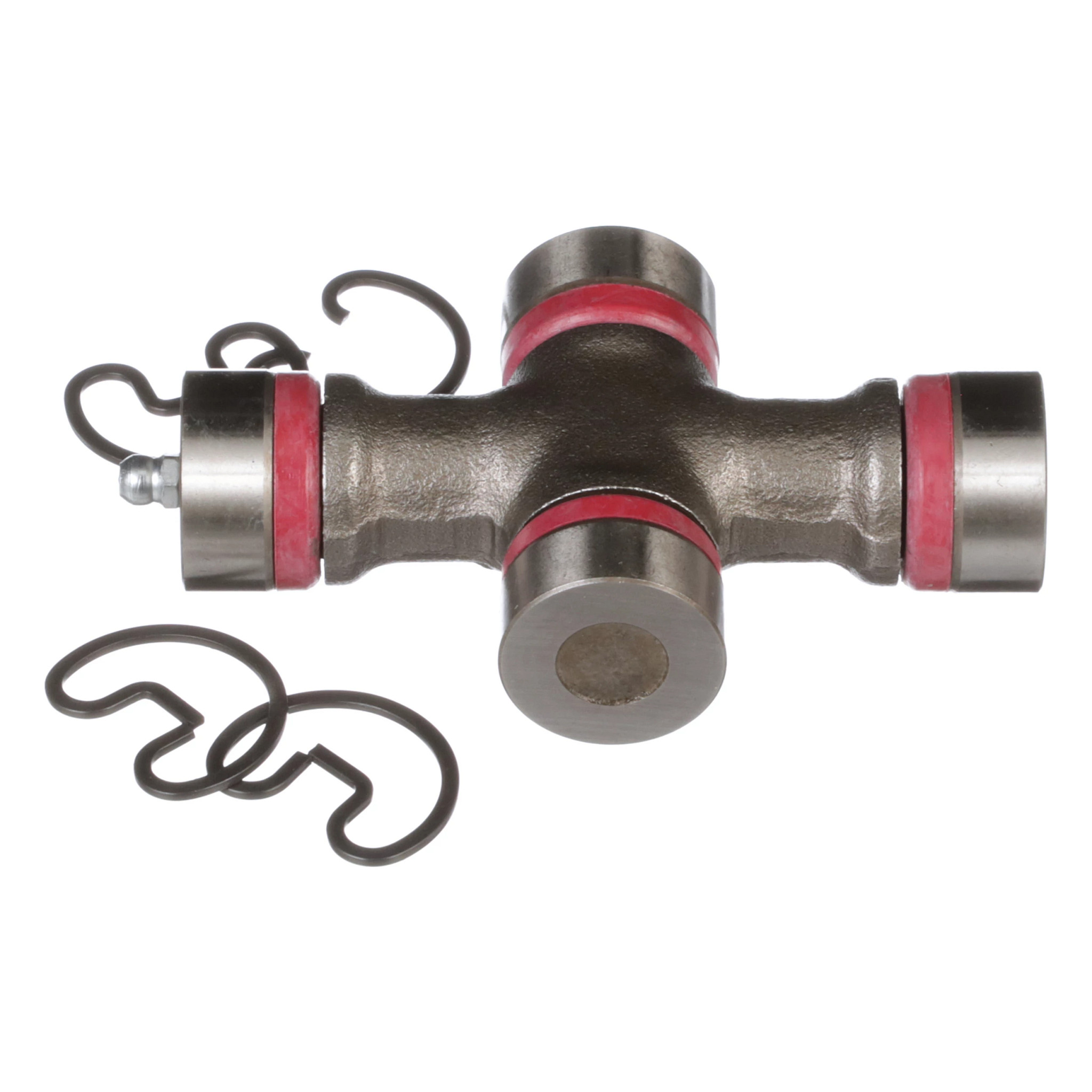 SPIDER | CASECE | CA | EN