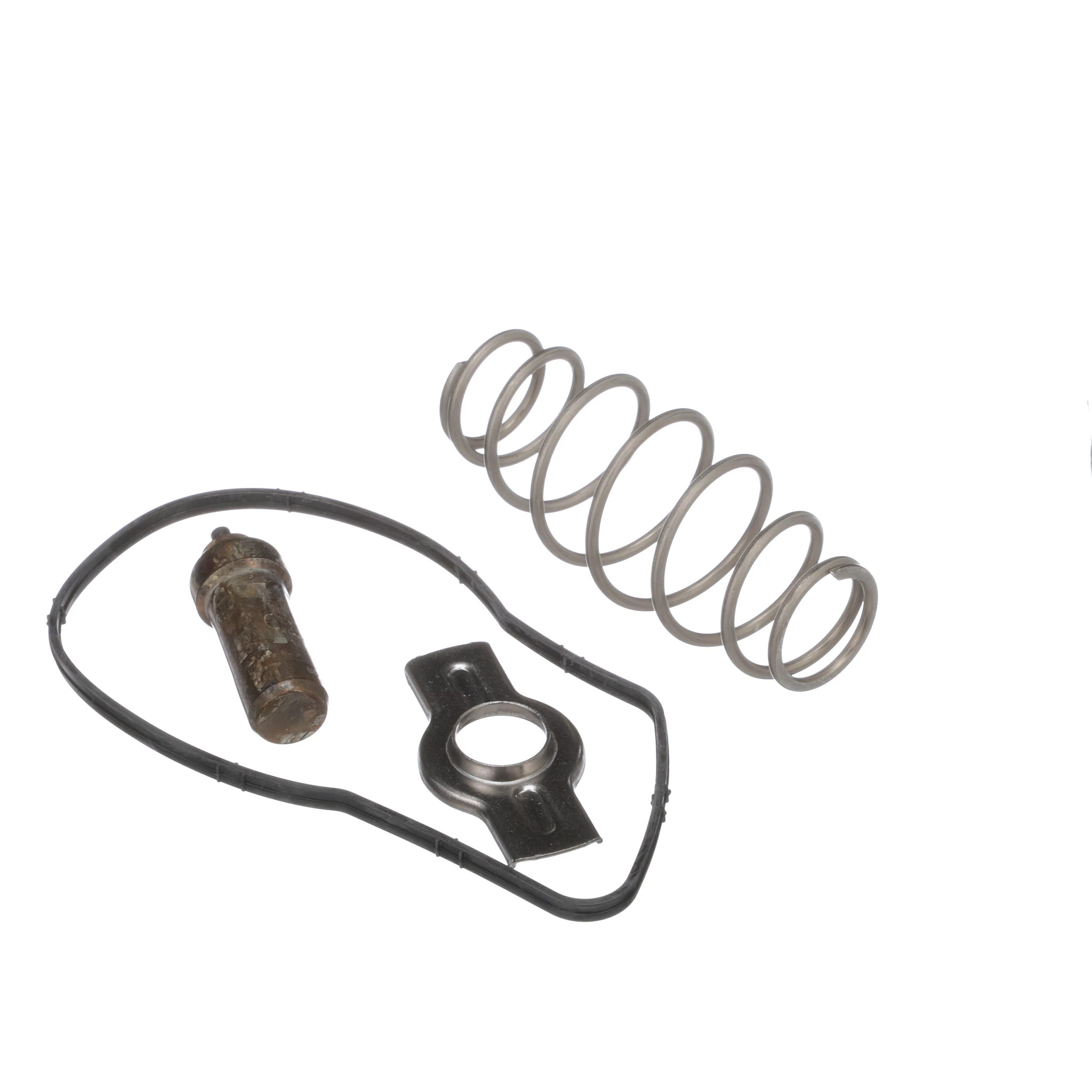 TERMOSTATO | CASEIH | BR | PT