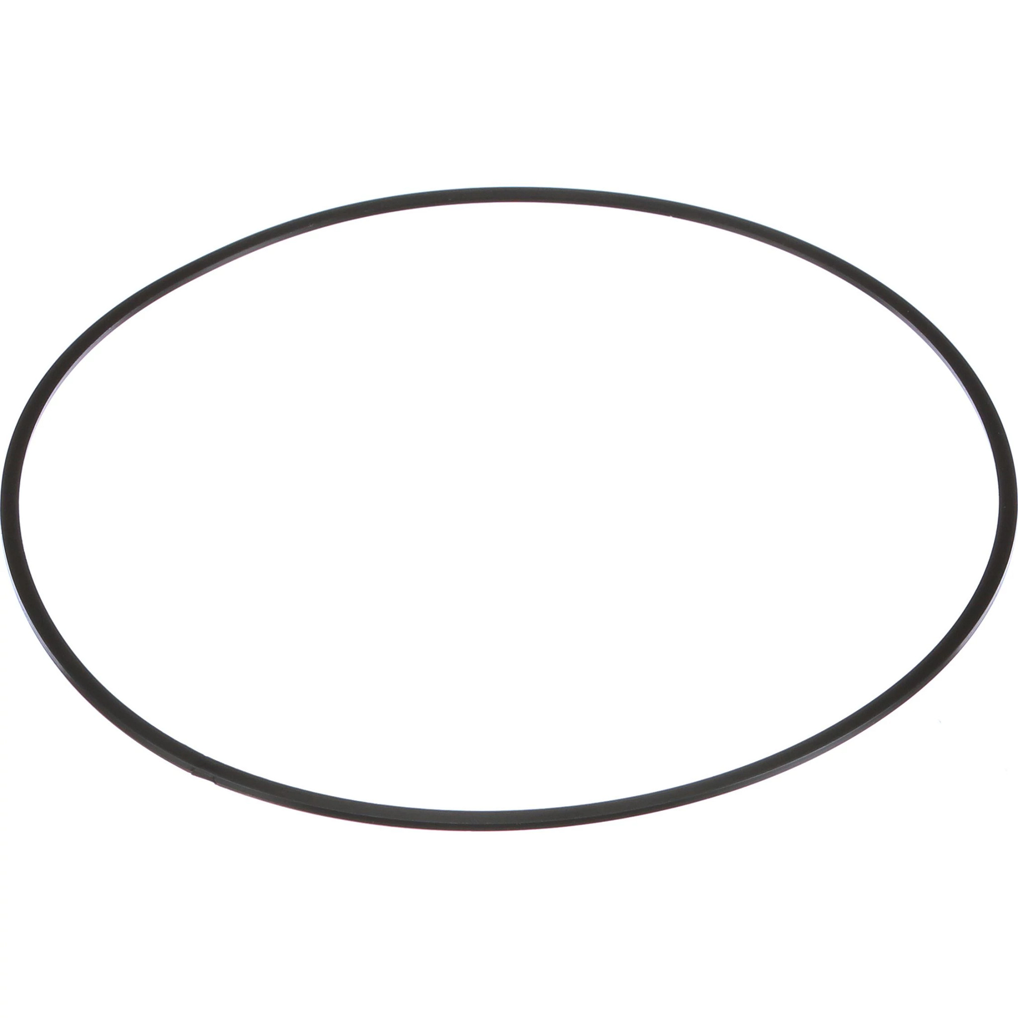 SEALING RING | NEWHOLLANDAG | SA | EN