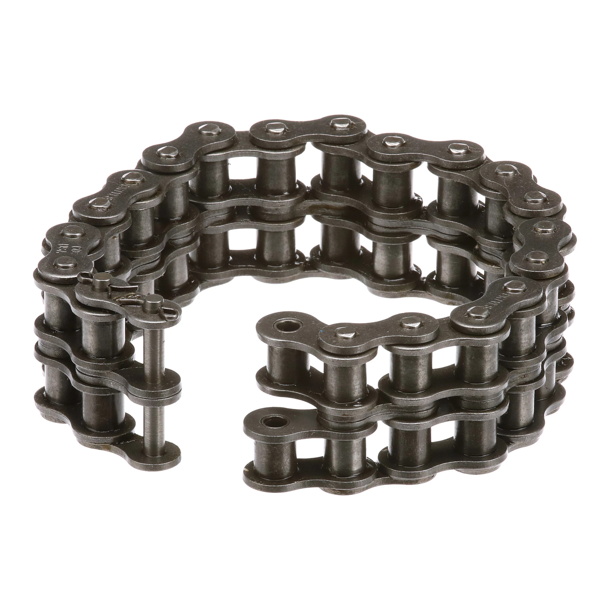 Roller Chain | CASECE | US | EN