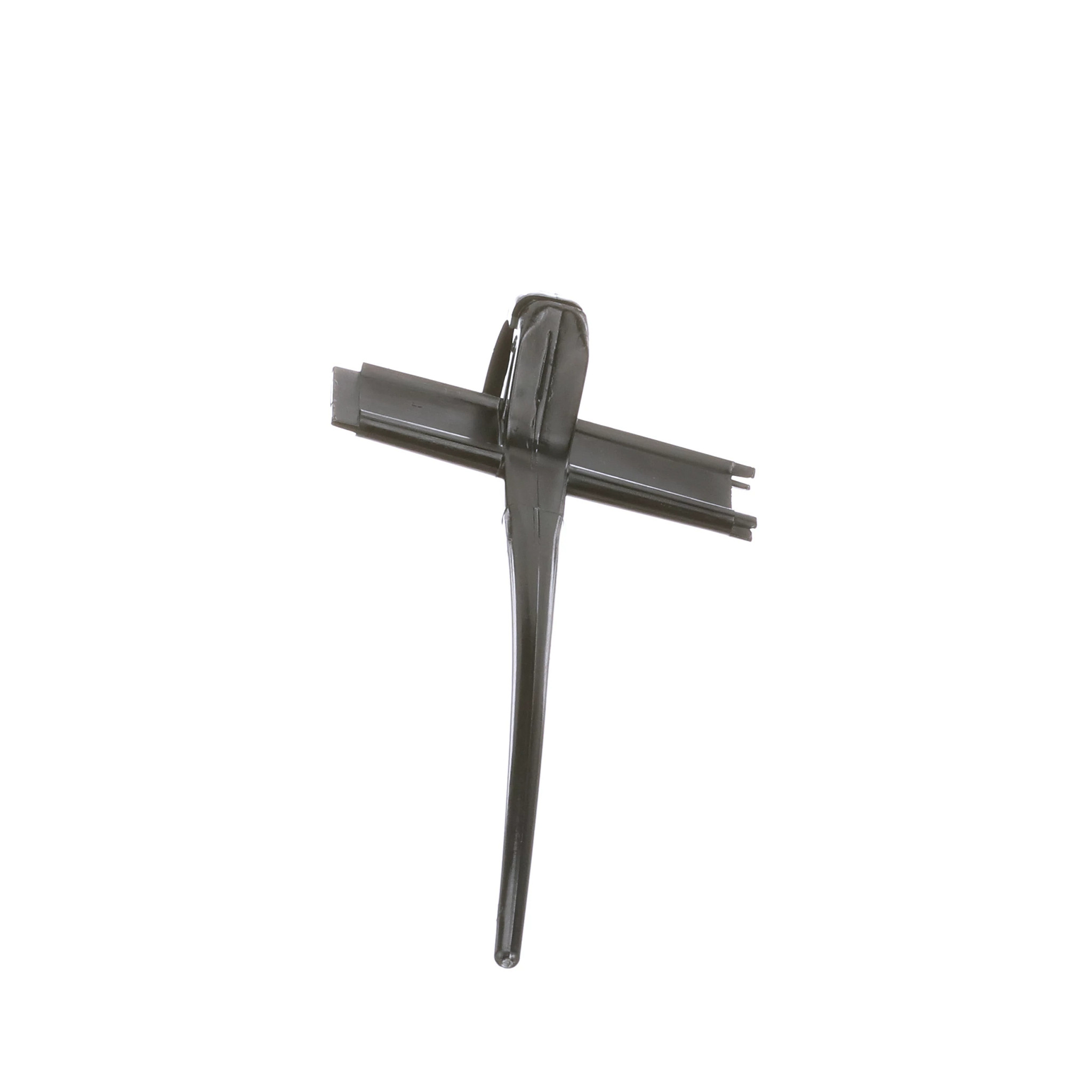 DENT | CASEIH | AMEA | EN