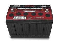 WET BATTERY | CASEIH | CA | EN