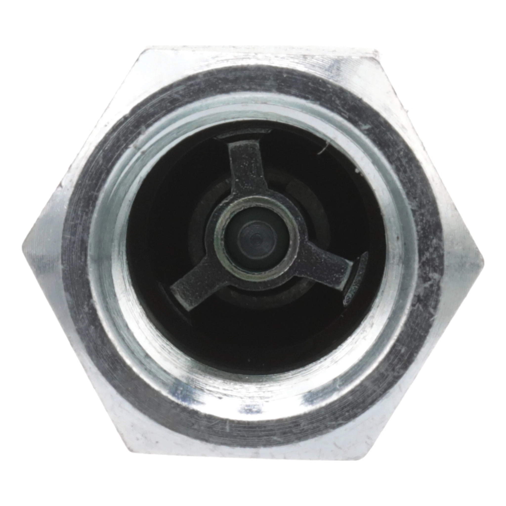 QUICK MALE COUPLING | CASECE | CA | EN