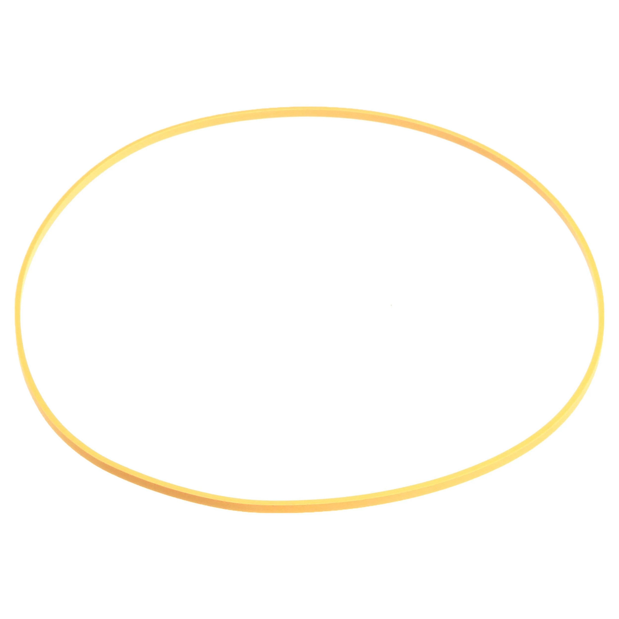 Joint extérieur du piston de stationnement - 179,2 mm DI x 183 mm DE x 3,3 mm Ép. | NEWHOLLANDAG | CA | EN