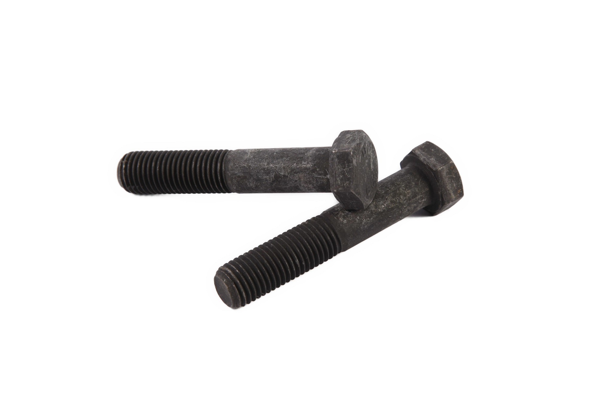 BOLT | CASECE | US | EN