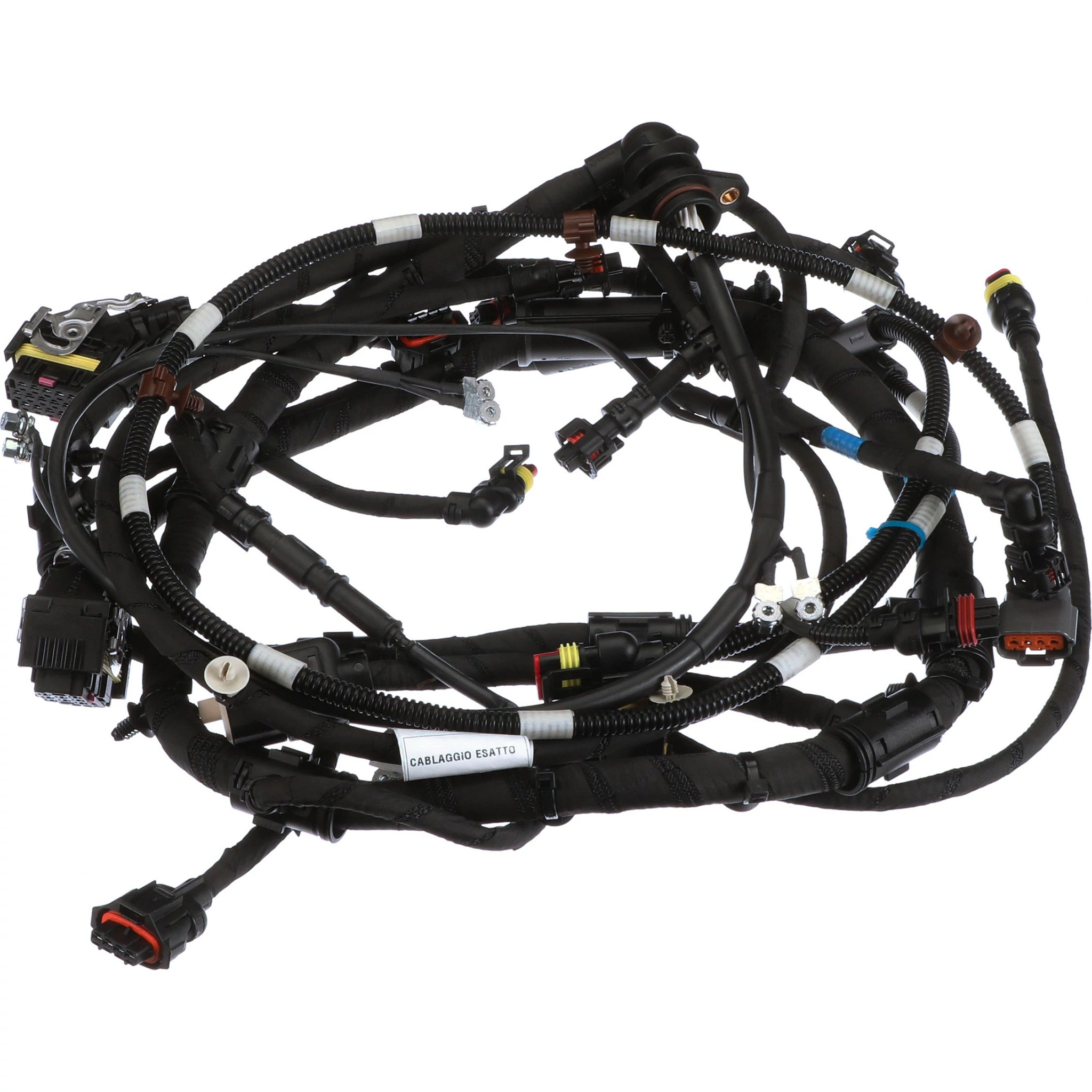 Engine Wire Harness