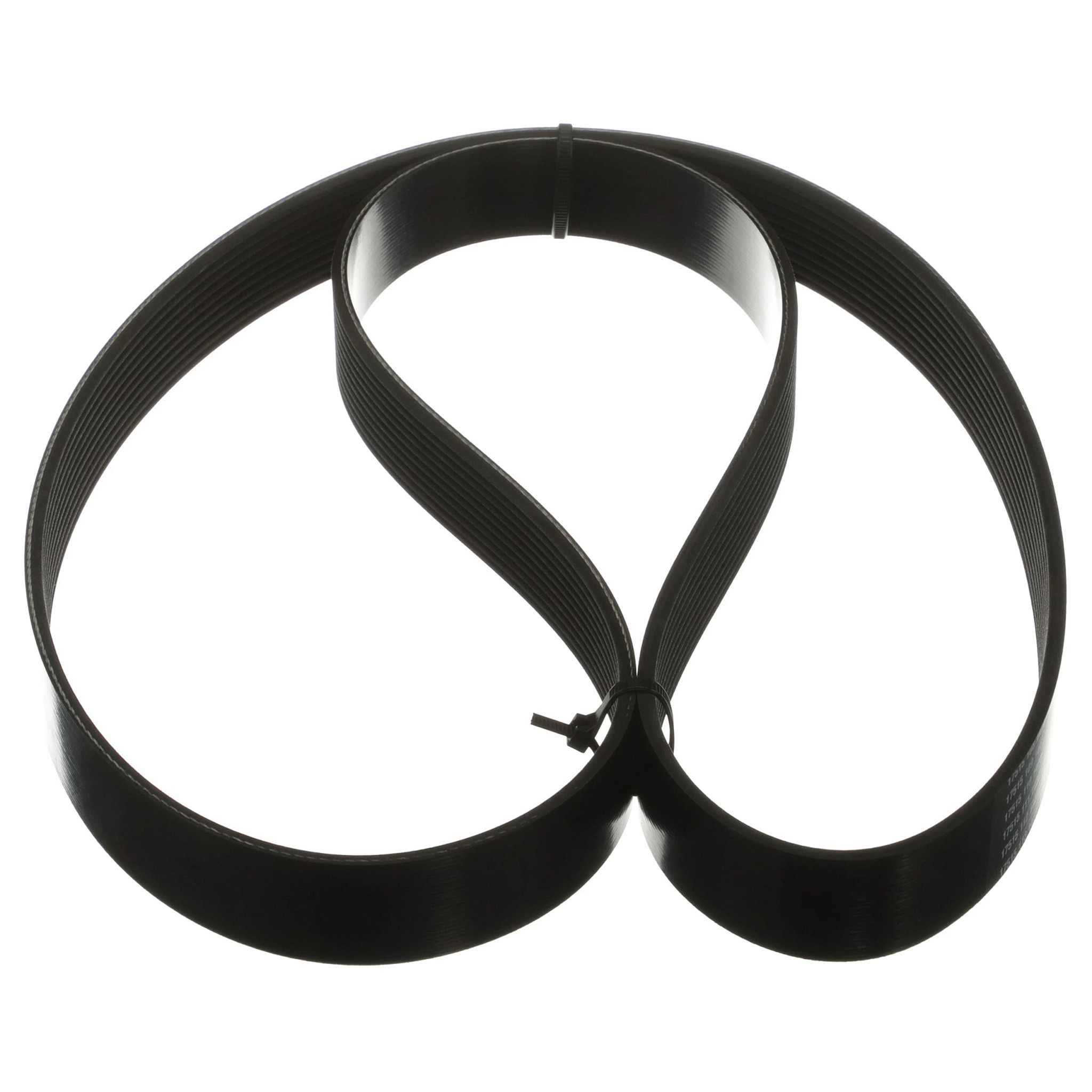 CINGHIA | NEWHOLLANDAG | IT | IT