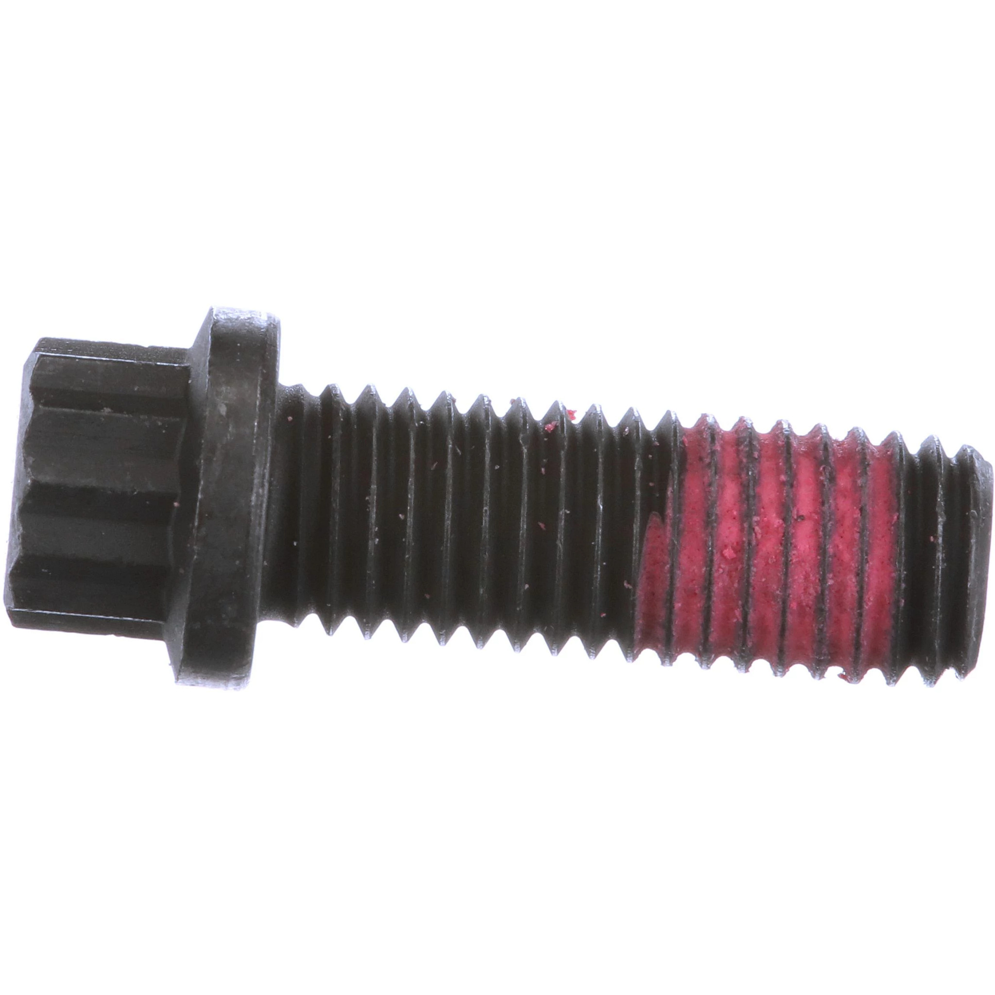 BULLONE | CASECE | EU | IT