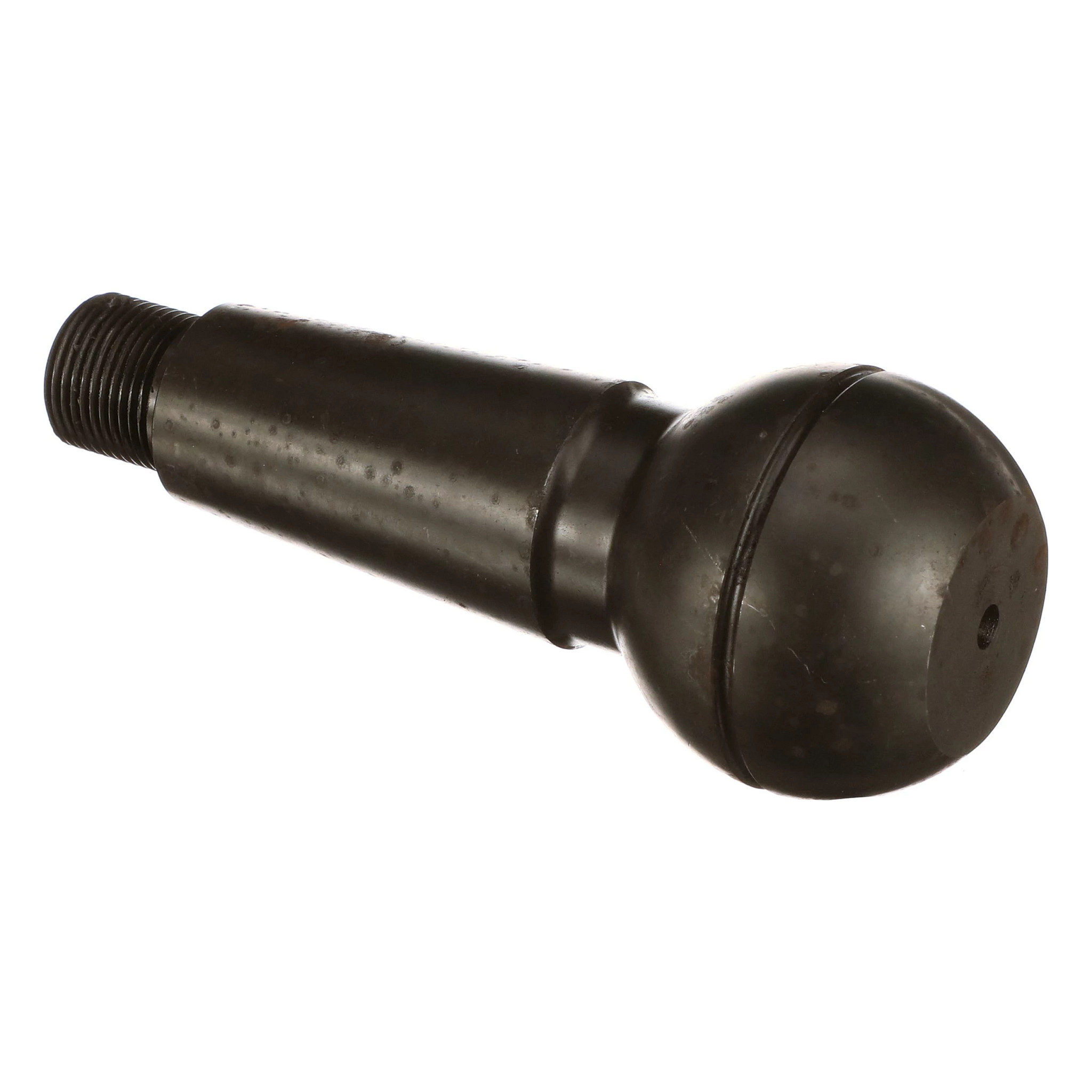 CAVILHA DE RÓTULA | CASECE | EU | PT