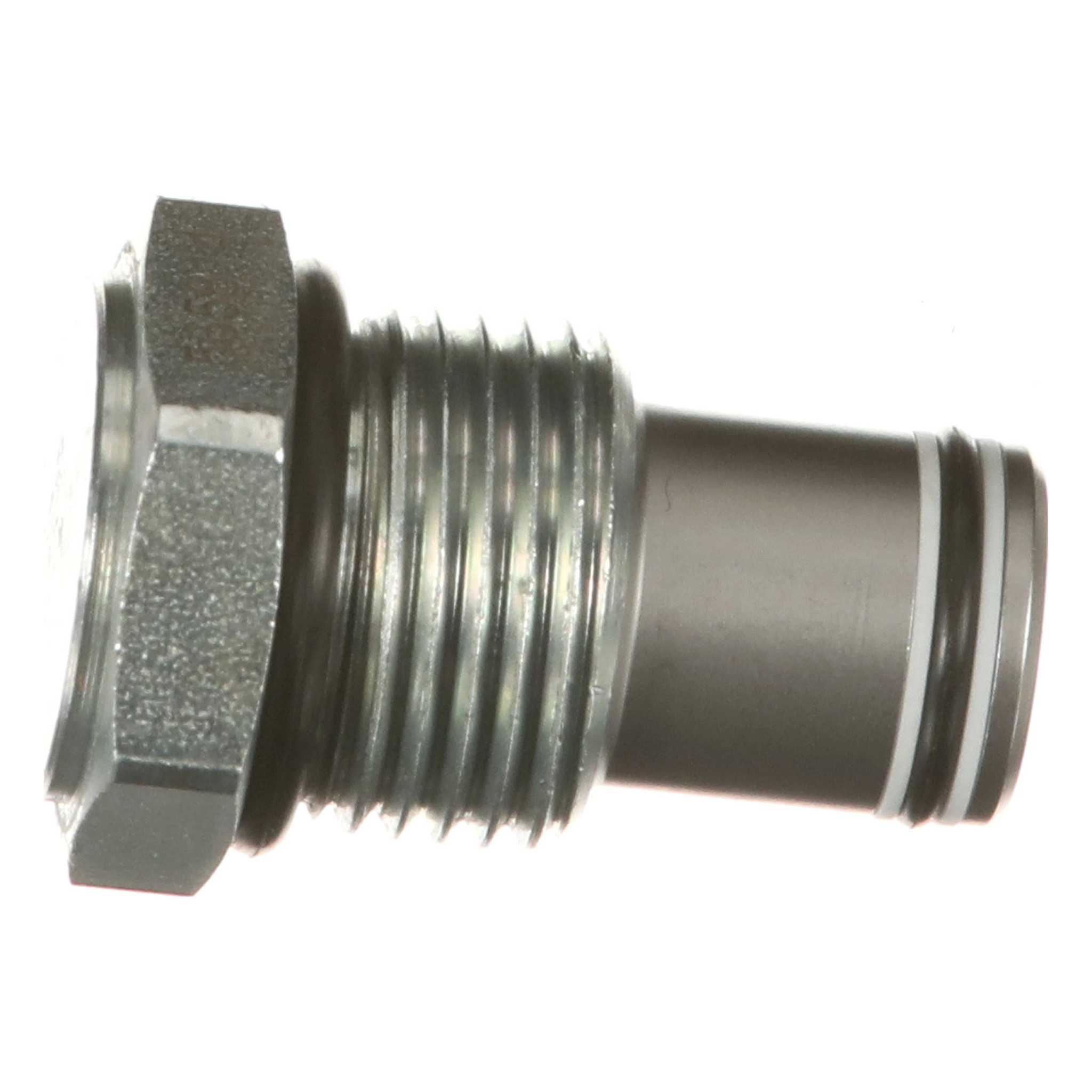 PLUG | CASECE | US | EN