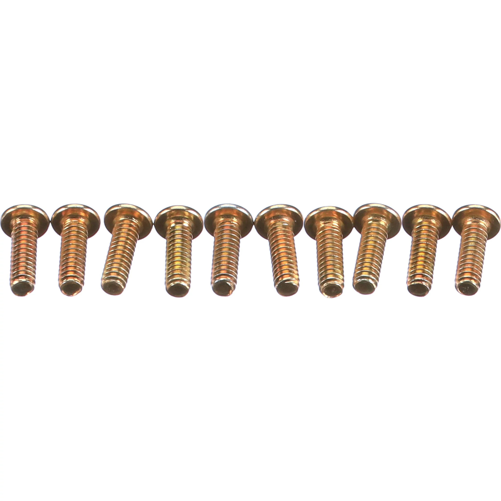 SCREW | CASECE | AMEA | EN