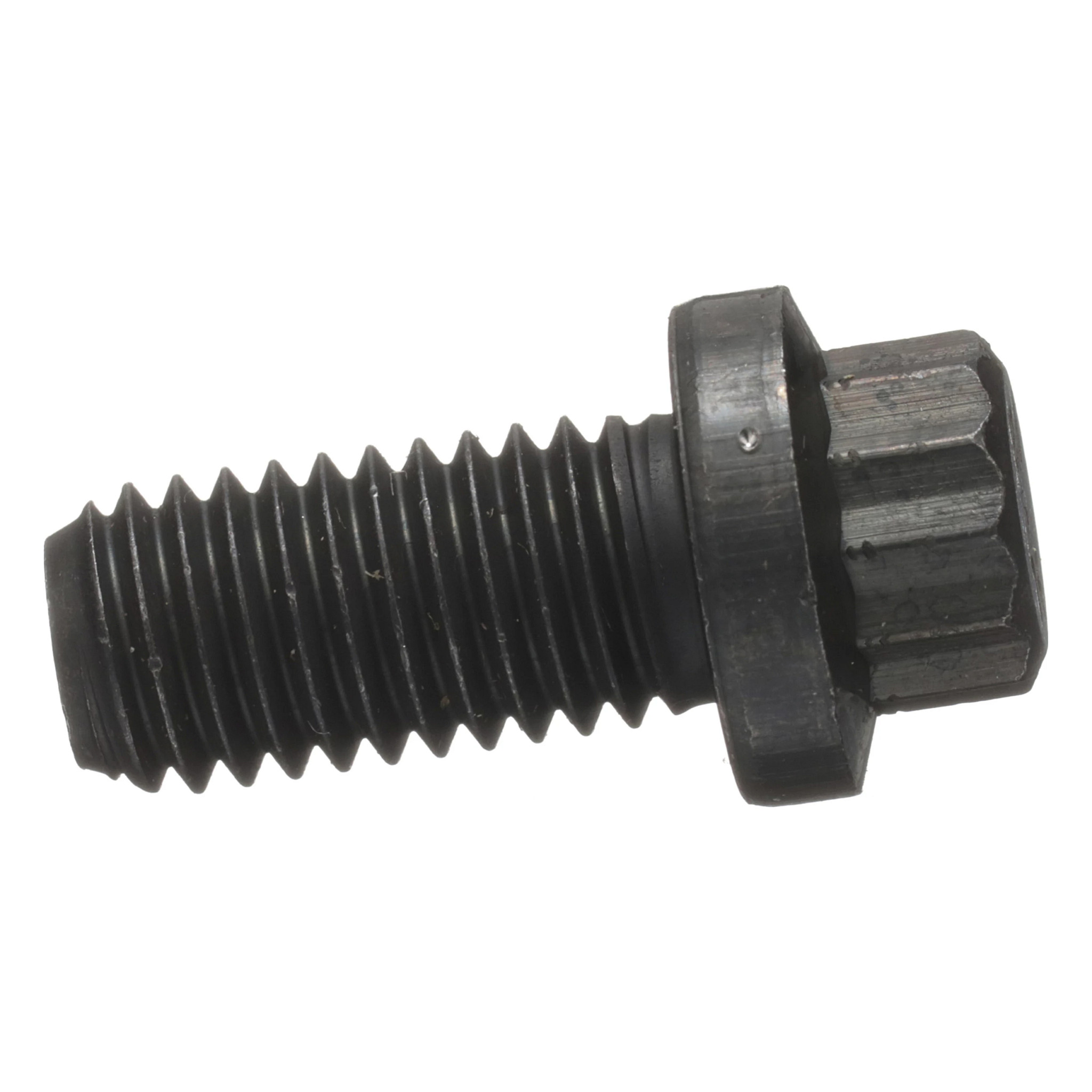 12 PT SCREW | CASECE | CA | EN