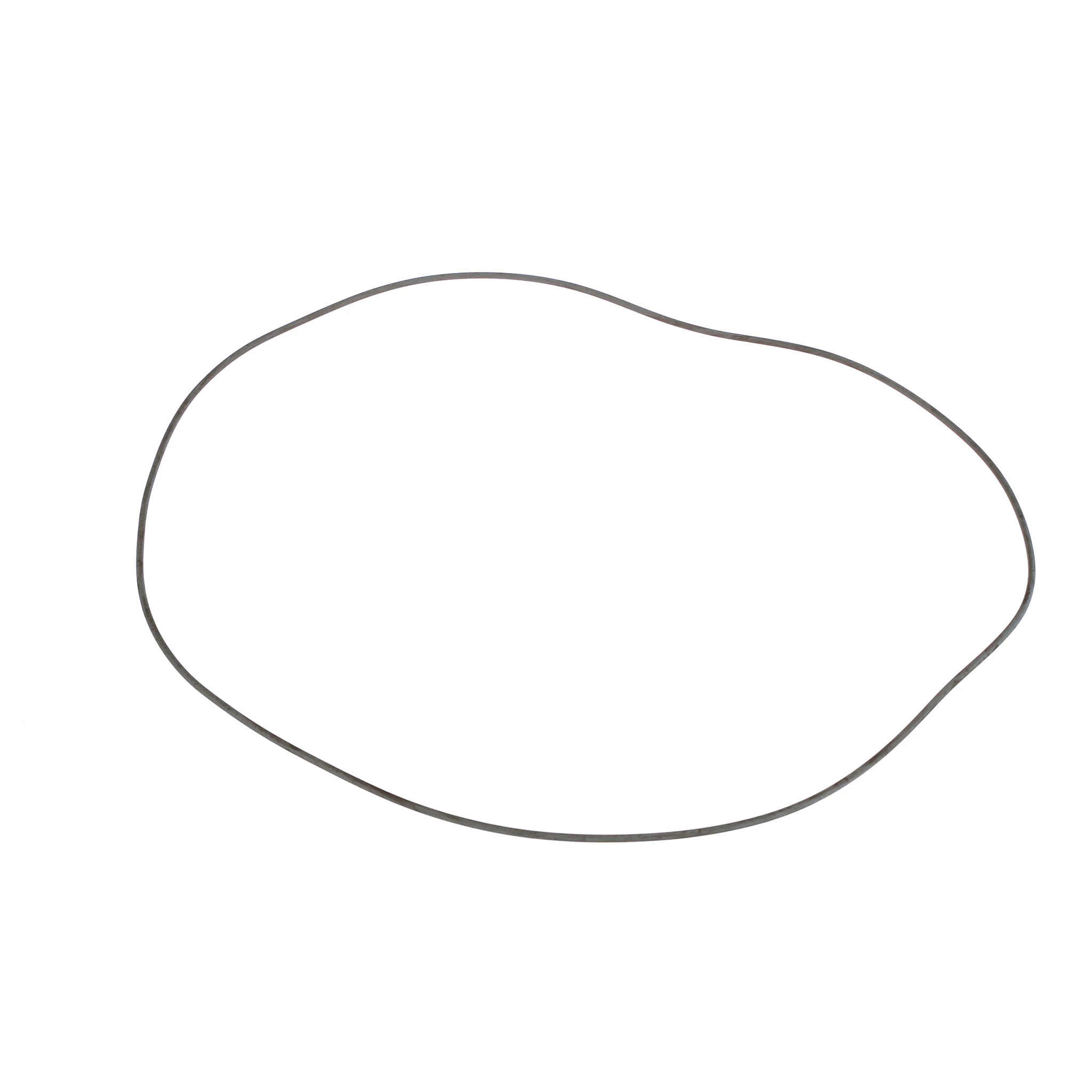 O-RING | CASECE | BR | PT
