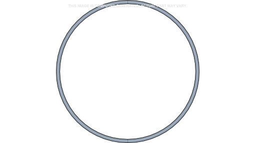 O-RING | CASEIH | EU | EN