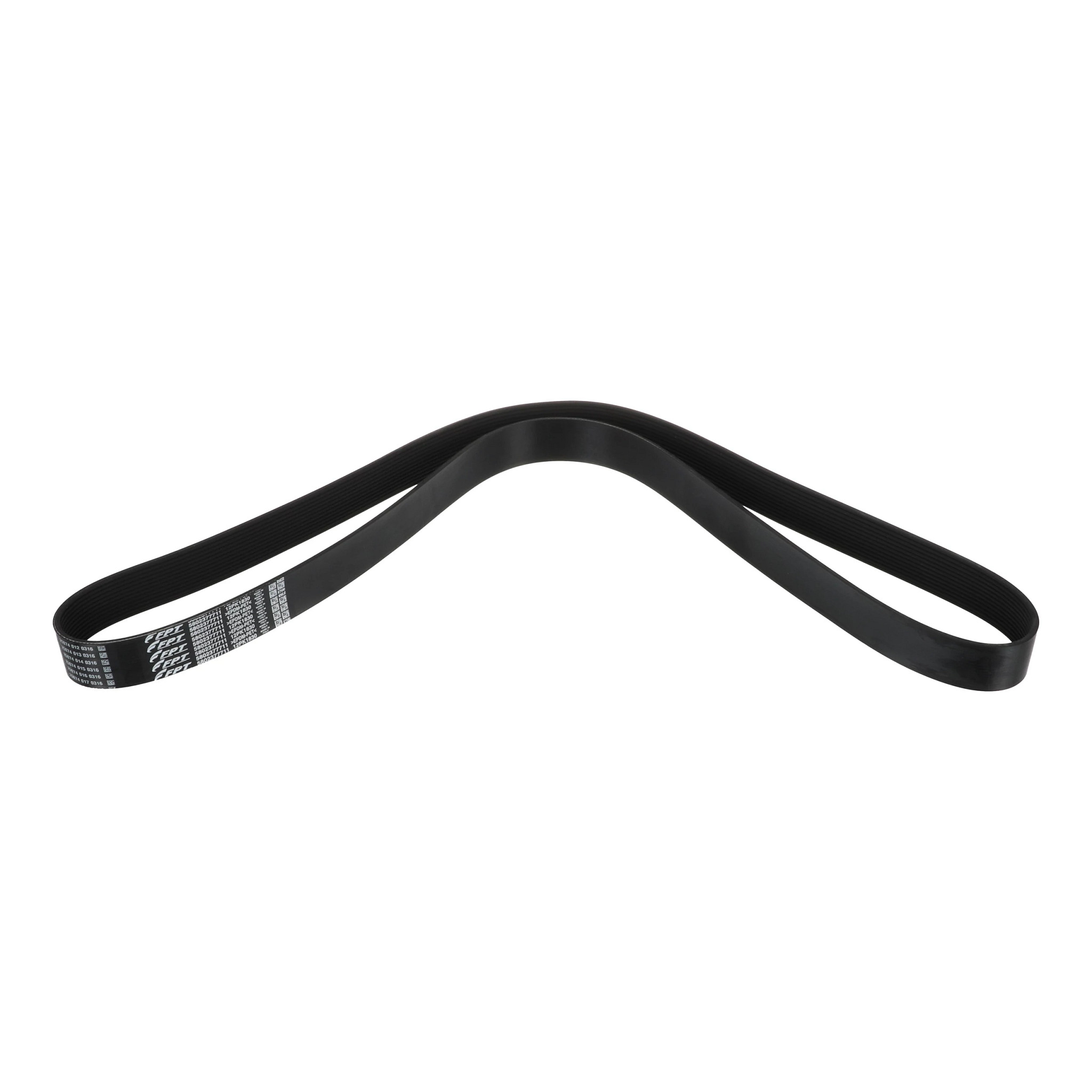 BELT | CASECE | US | EN
