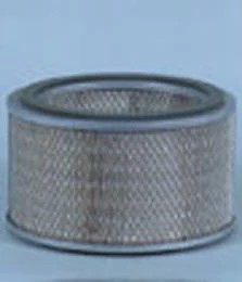 Filtre A Air | NEWHOLLANDAG | CA | FR