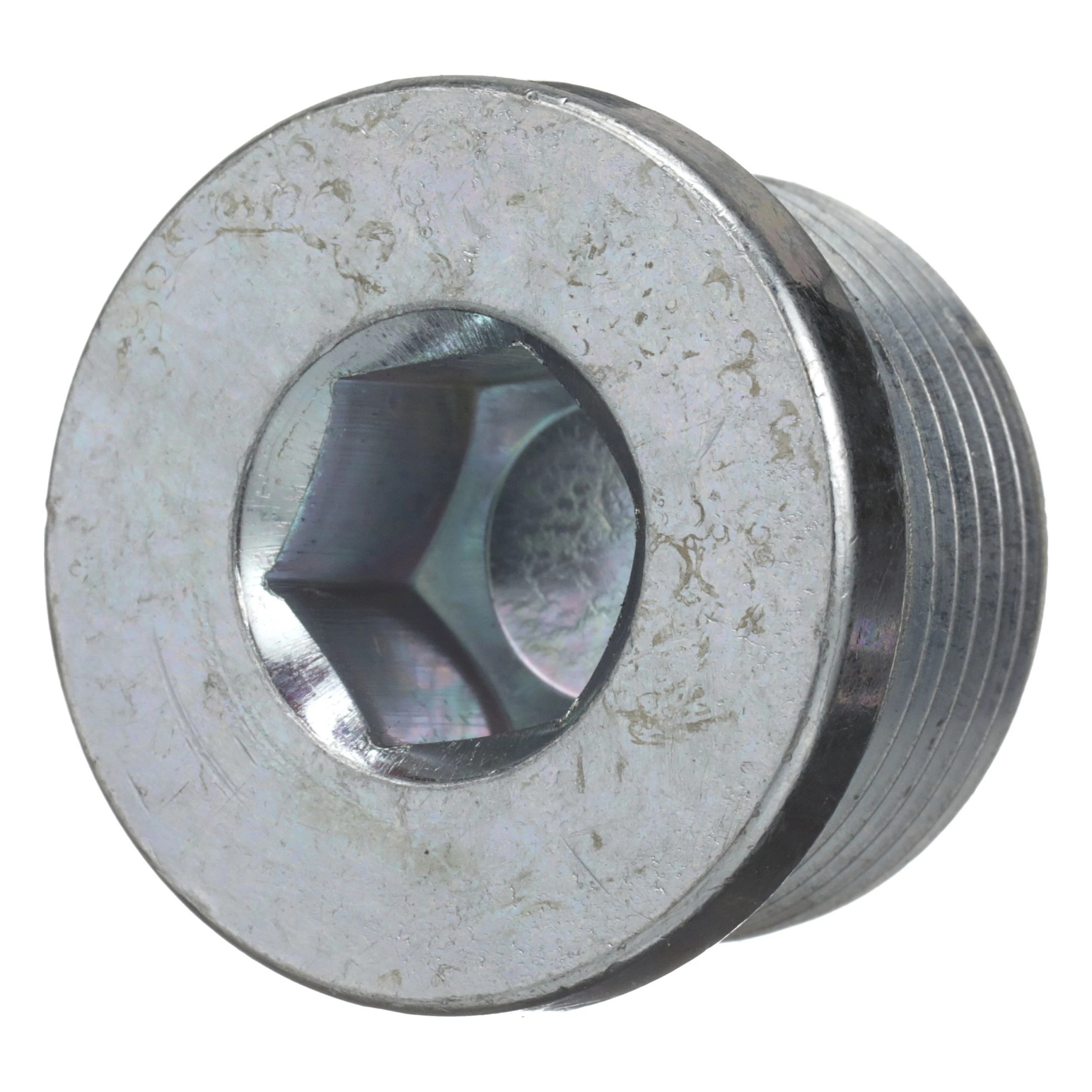 Plug | CASECE | CA | EN