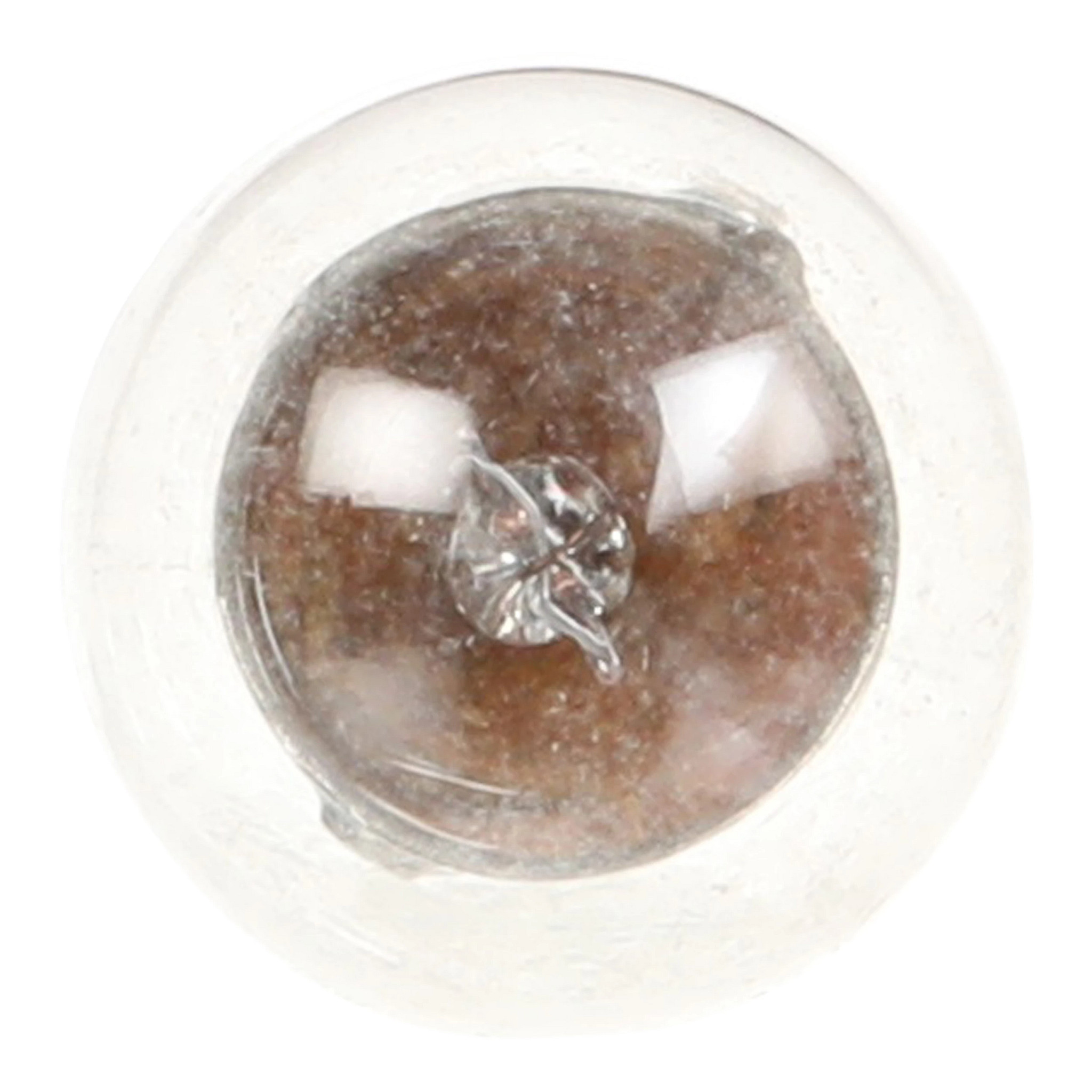 AMPOULE | CASEIH | CA | FR