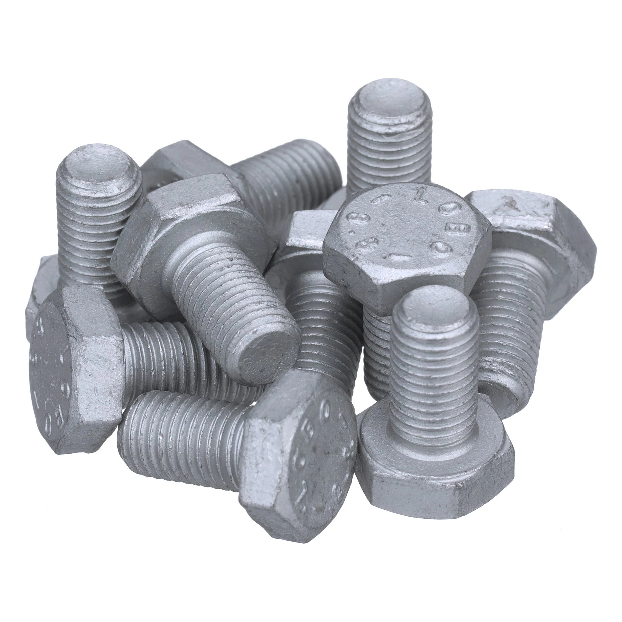 BOLT | CASECE | SA | EN