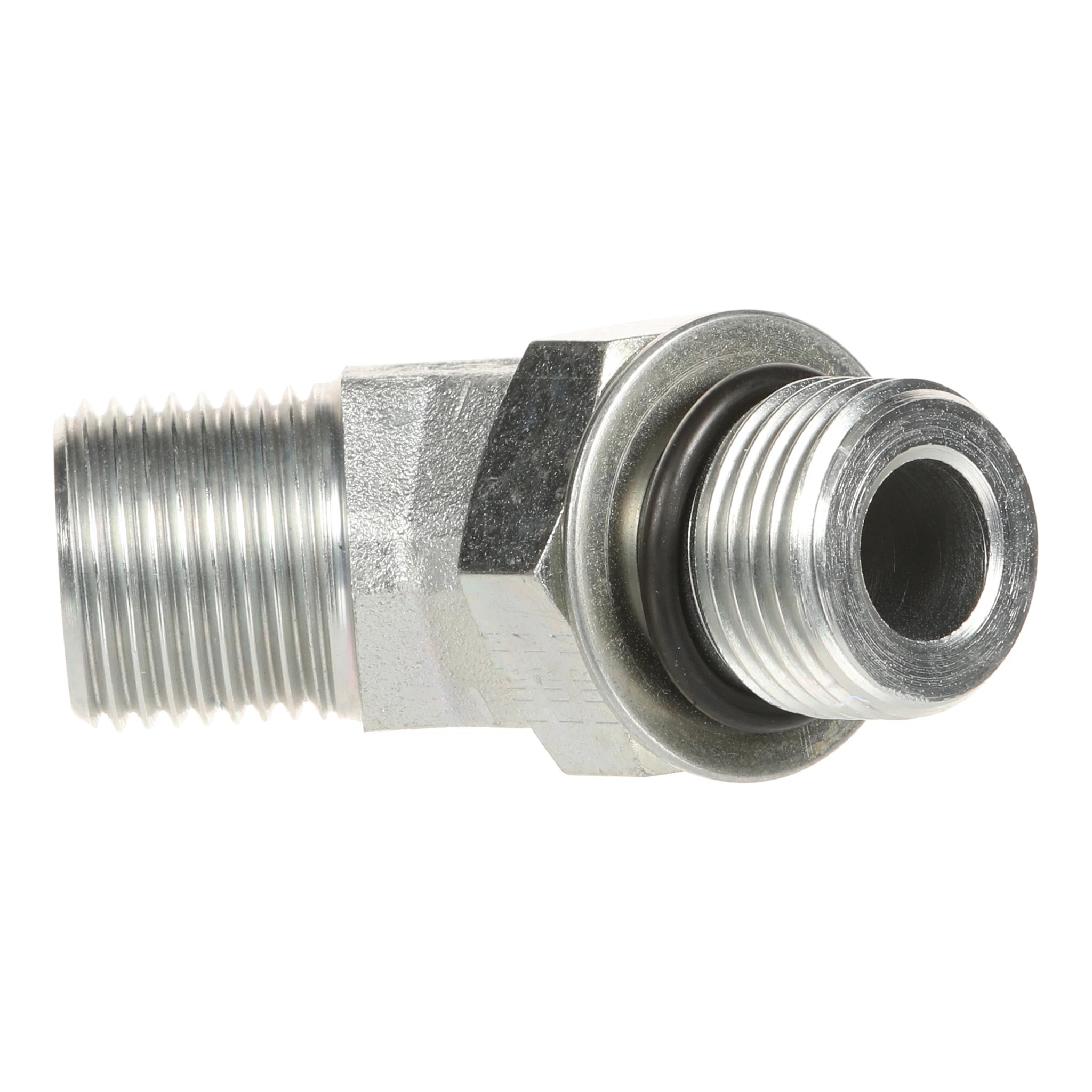 GOMITO | CASECE | EU | IT