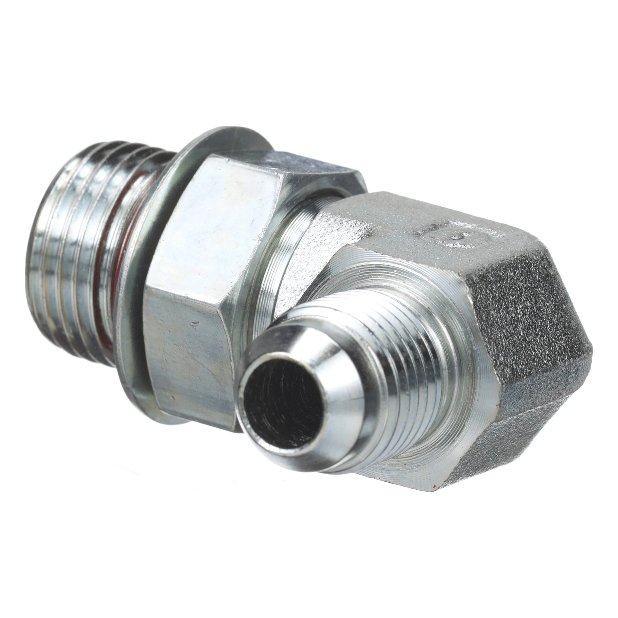 GOMITO | CASECE | EU | IT