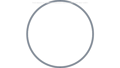 O-RING | NEWHOLLANDAG | EU | PT