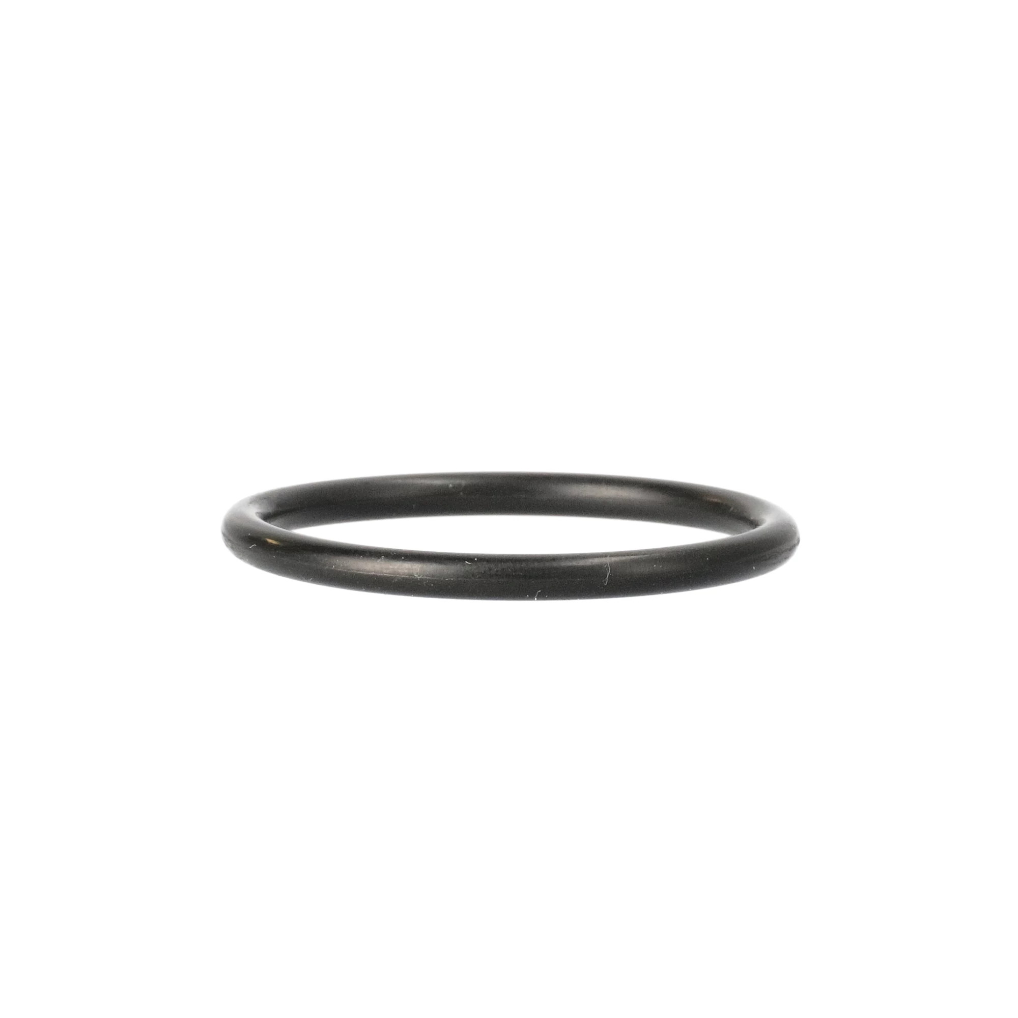 O-RING | CASECE | EU | IT