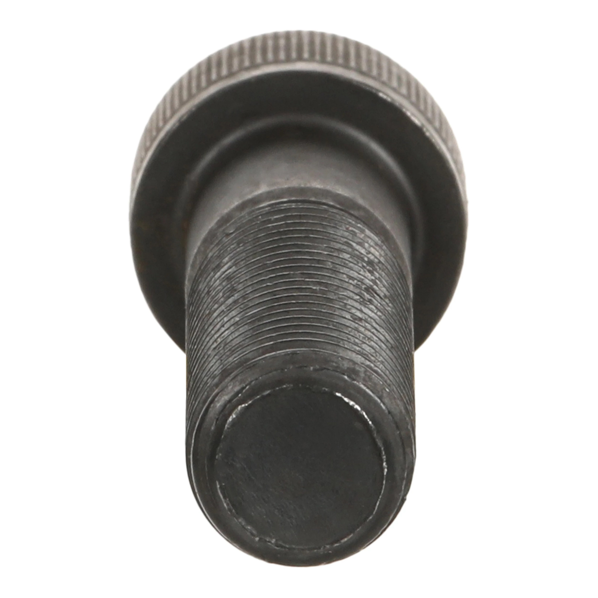 BOLT | CASECE | CA | EN