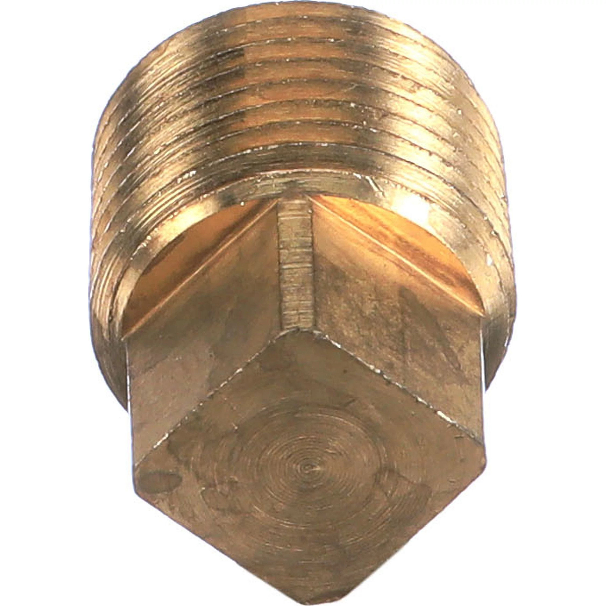 PLUG | CASECE | EU | EN