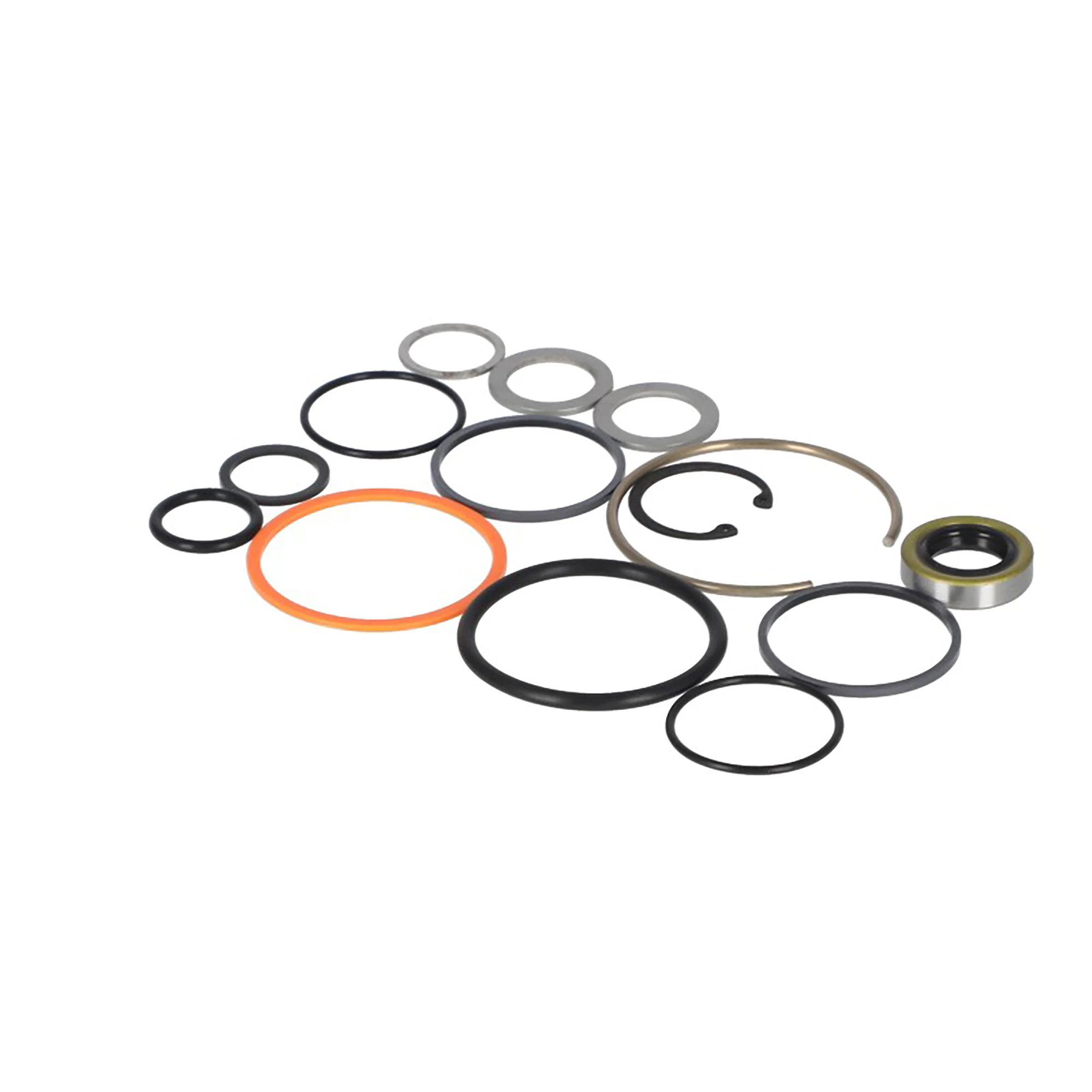 Steering Cylinder Seal Kit | CASECE | US | EN