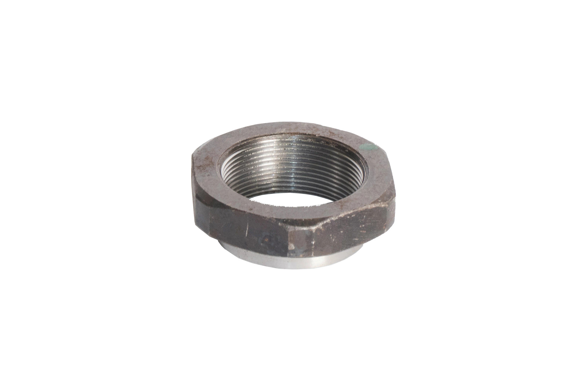 NUT | CASECE | EU | EN