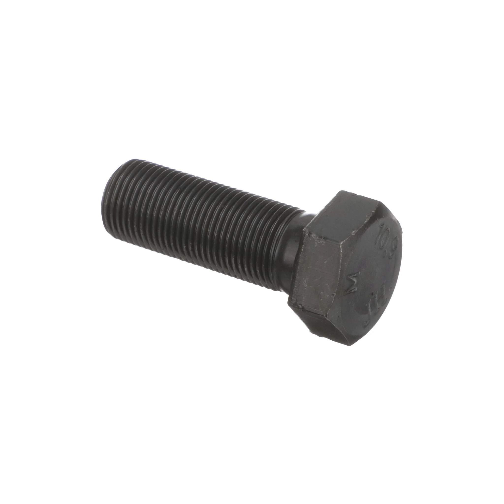 Bolt | CASECE | BR | PT