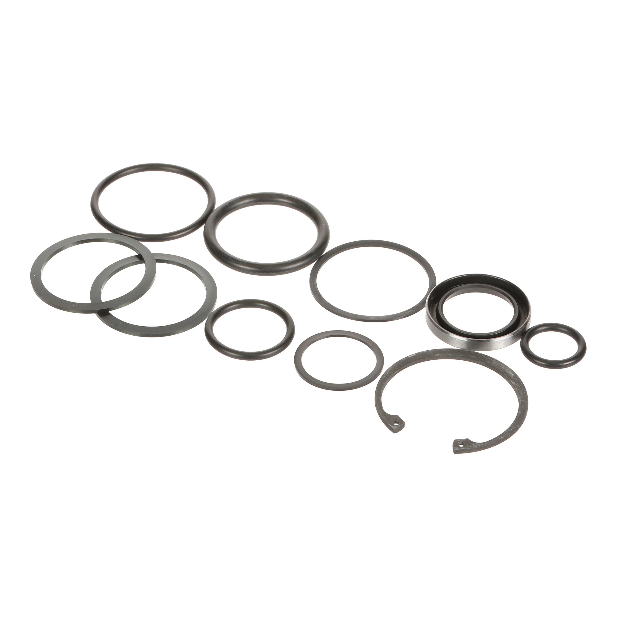 Seal Kit | CASEIH | US | EN