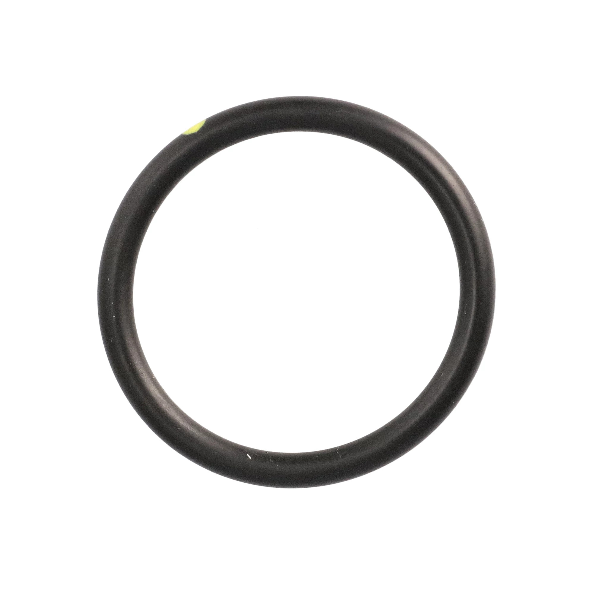 O-RING | CASEIH | US | EN