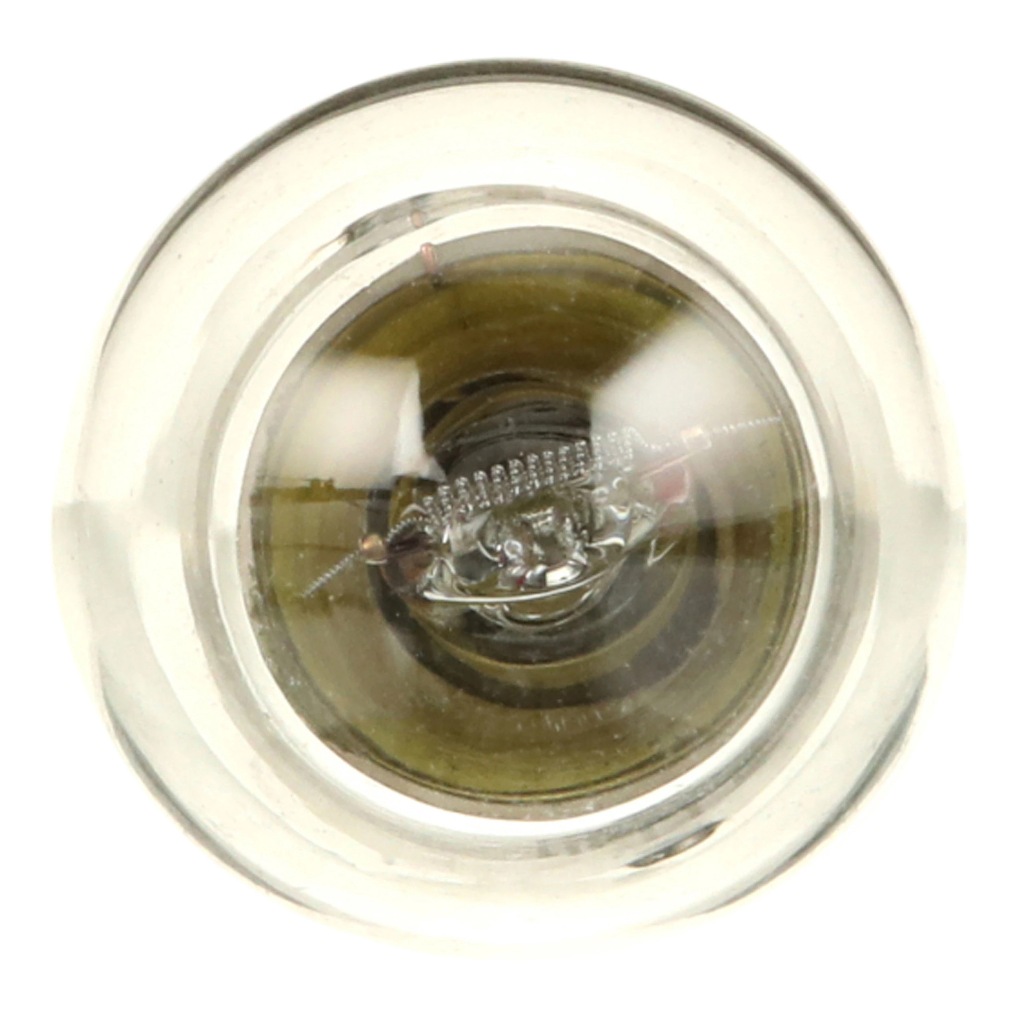 BULB | CASECE | US | EN