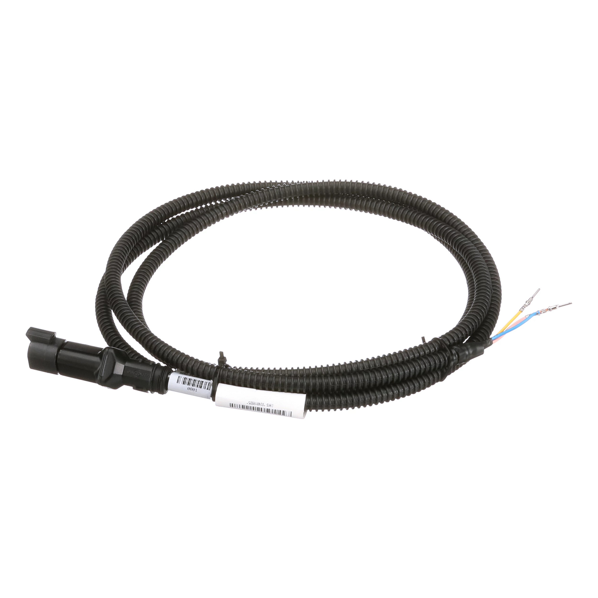 CHICOTE | CASECE | EU | NL