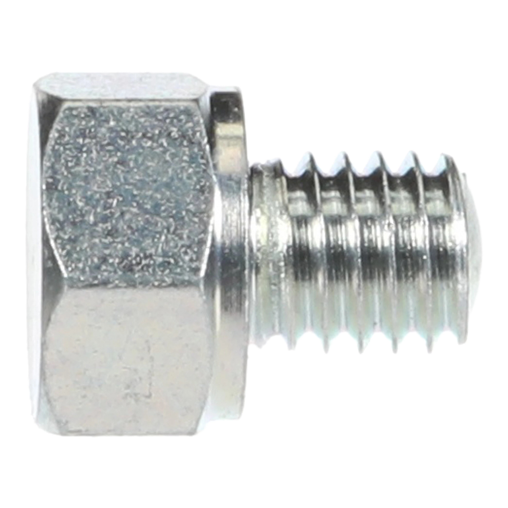 SCREW | CASECE | US | EN