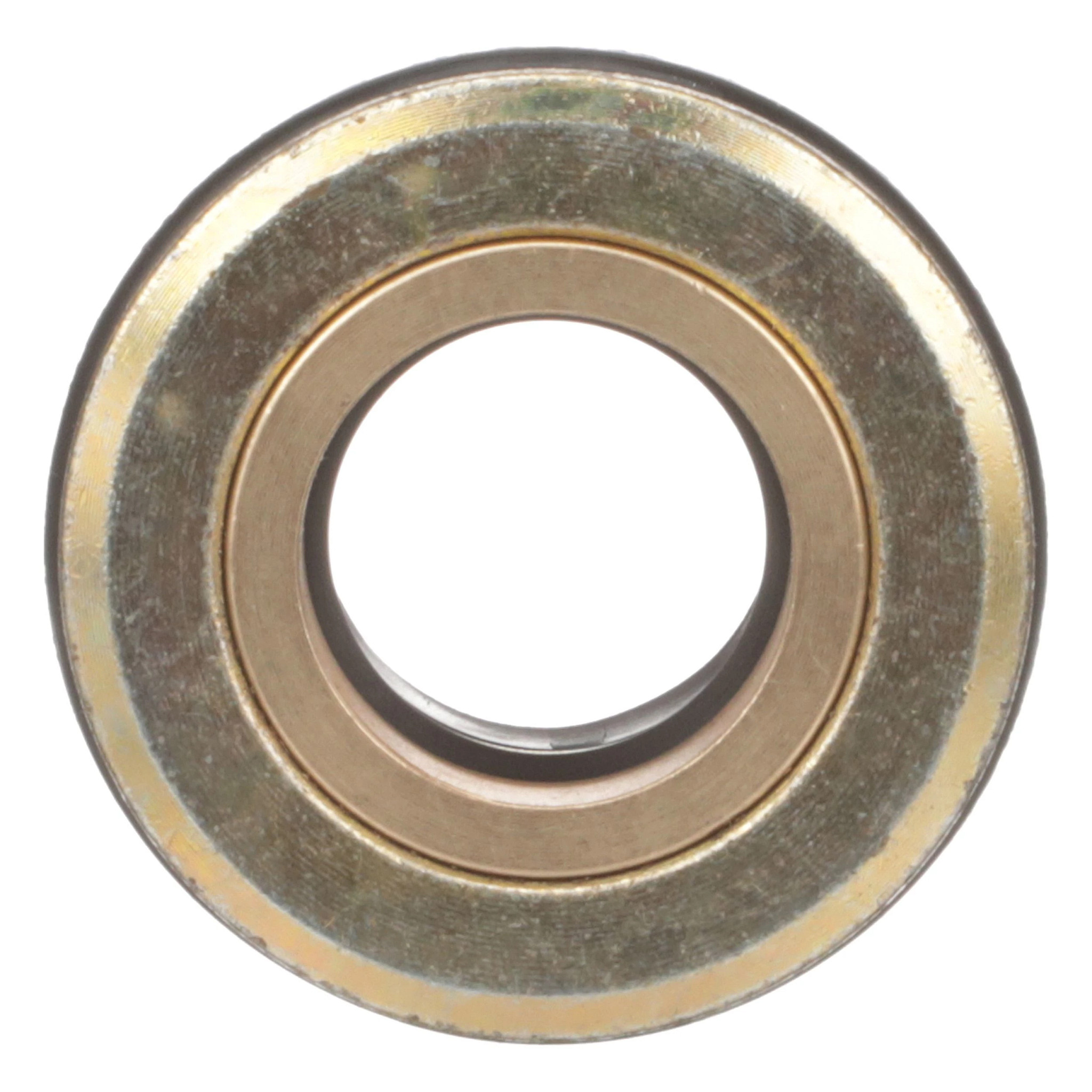 GLAND | CASECE | CA | EN