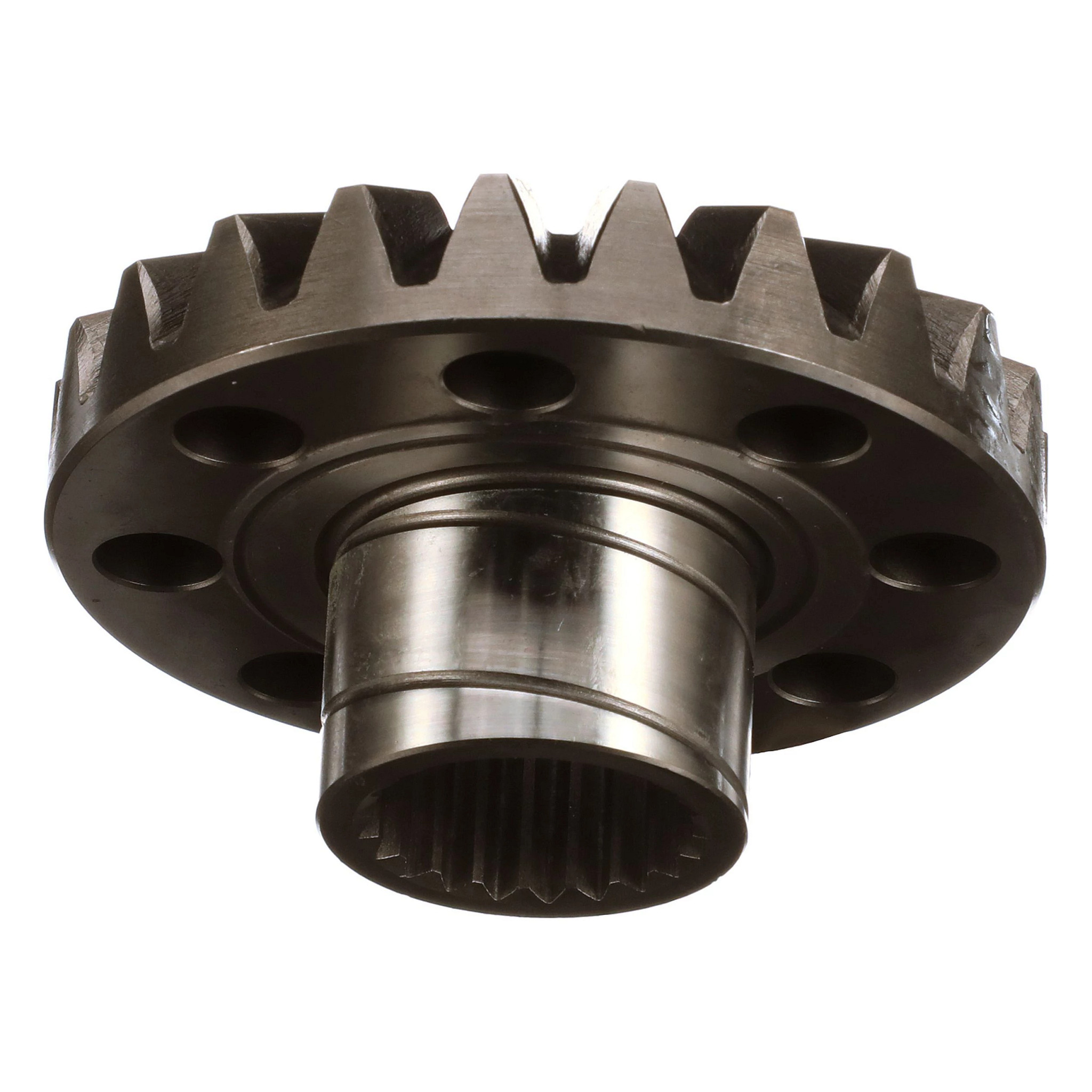 DRIVEN SPROCKET | CASECE | EU | EN