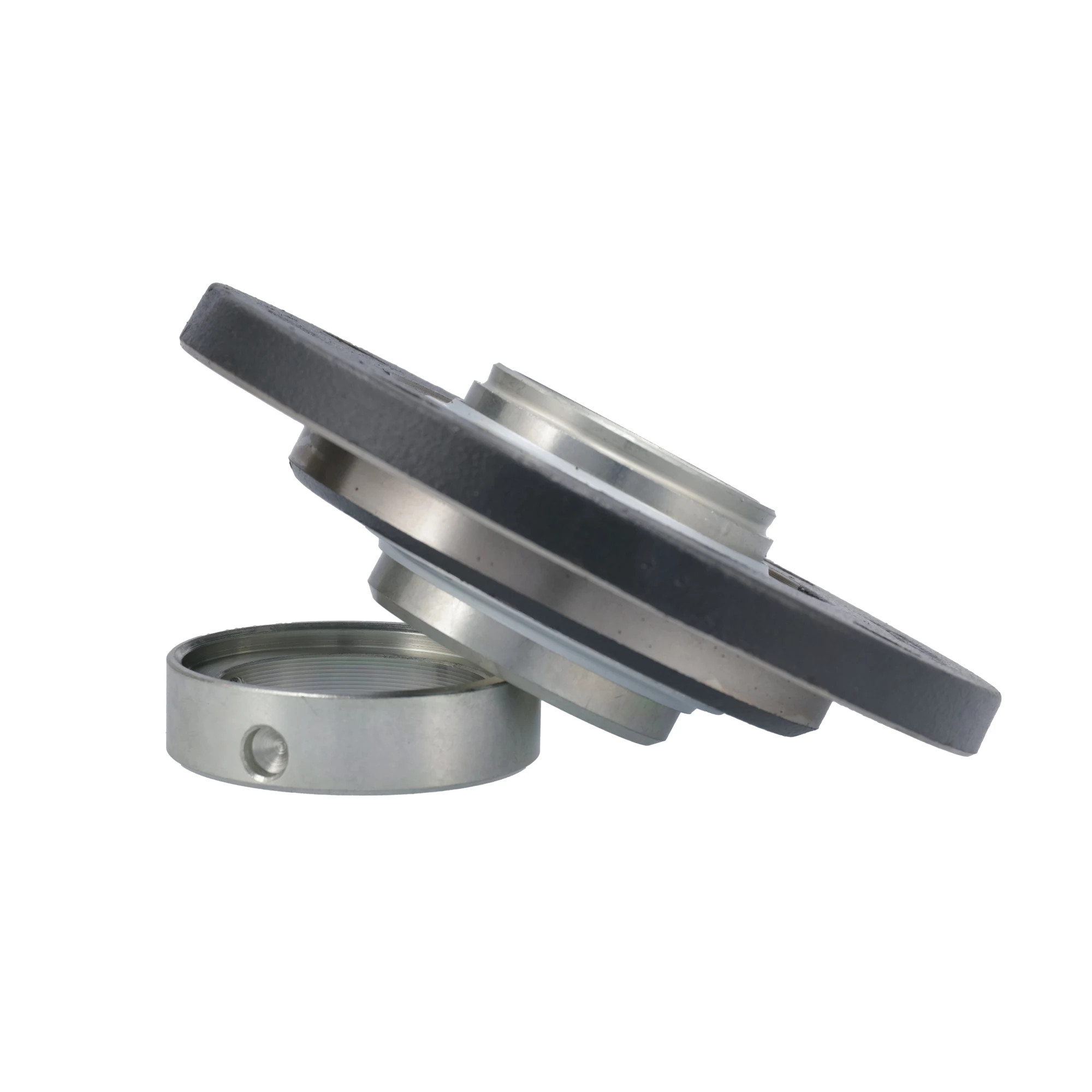 FLANGED BEARING | CASEIH | NZ | EN