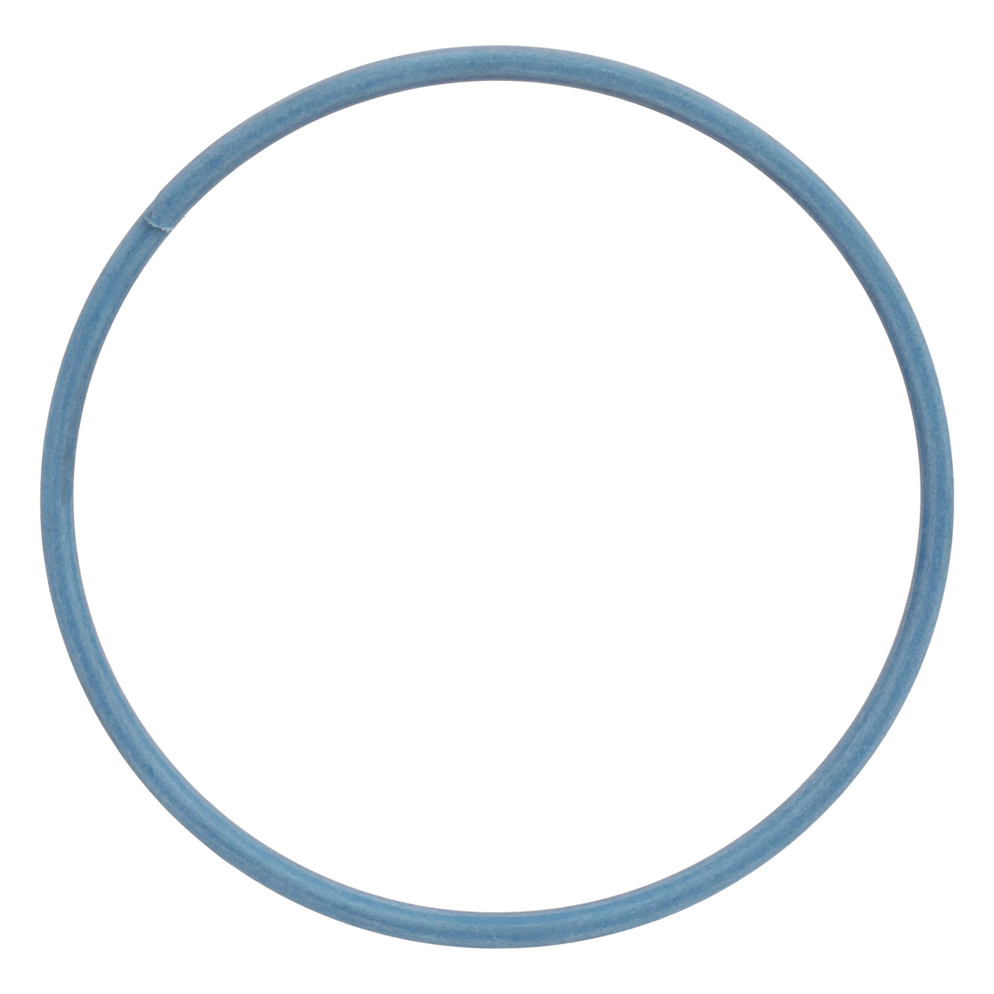 VERSCHLEISSRING | NEWHOLLANDAG | EU | DE