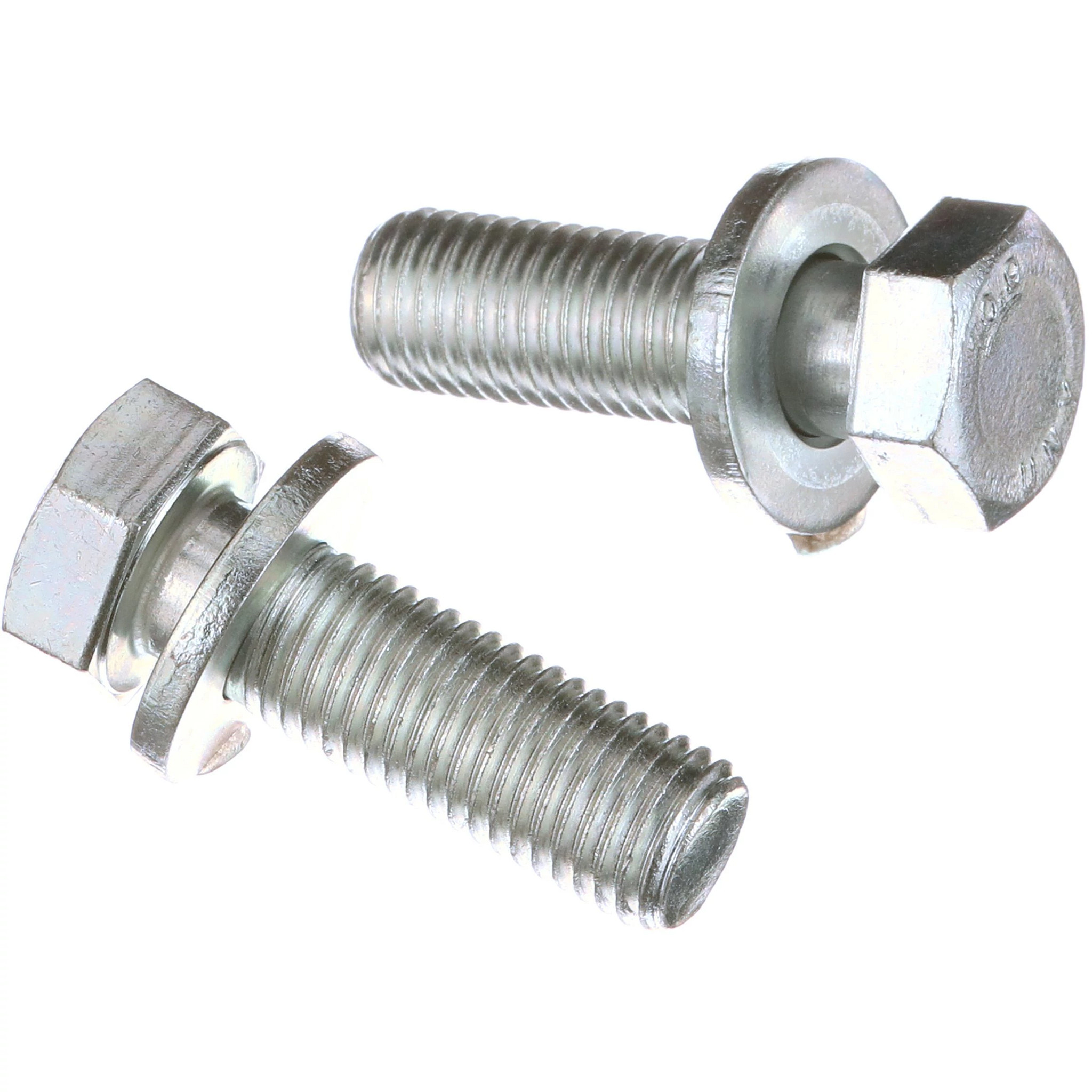 BOLT | CASECE | CA | EN