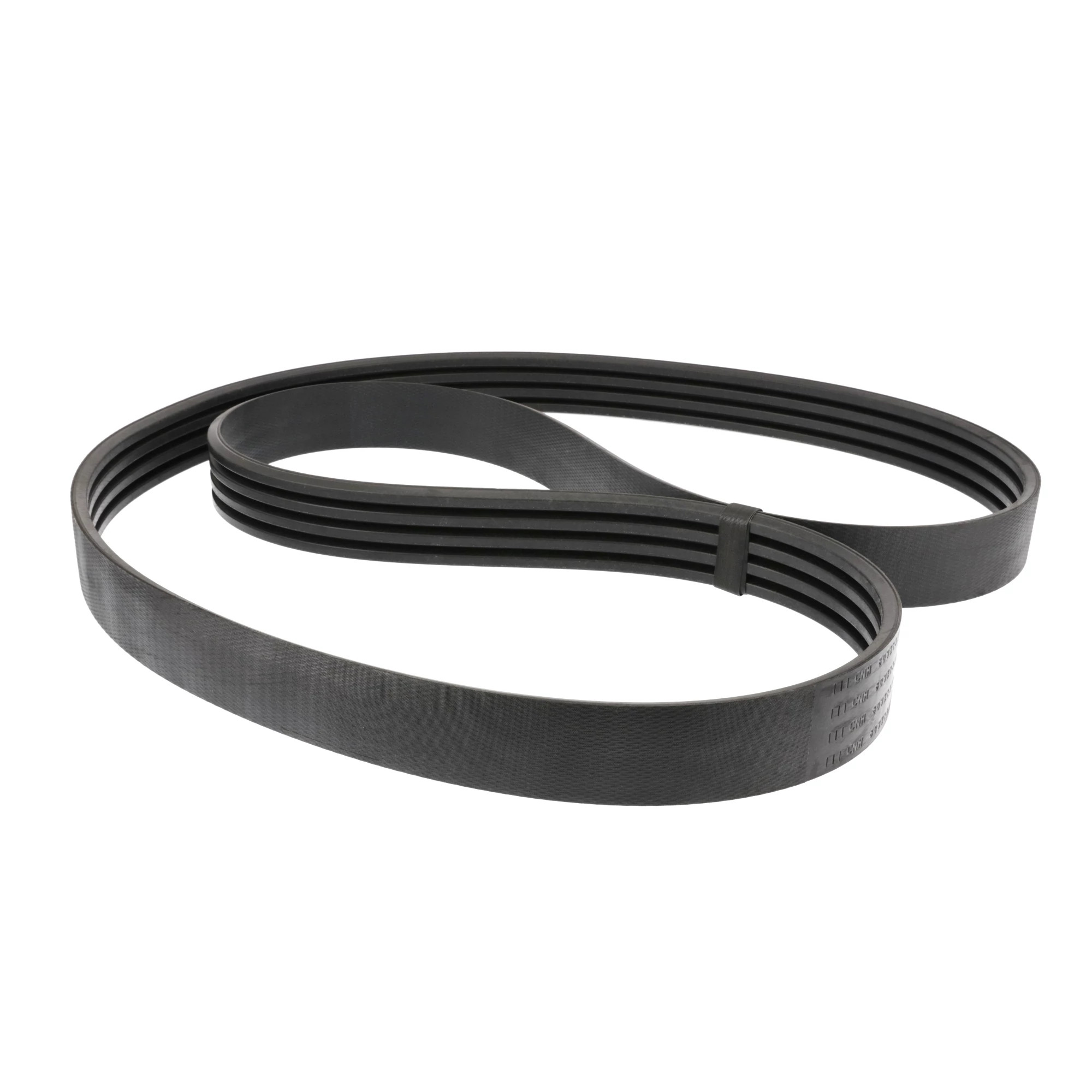 BELT | CASECE | AMEA | EN