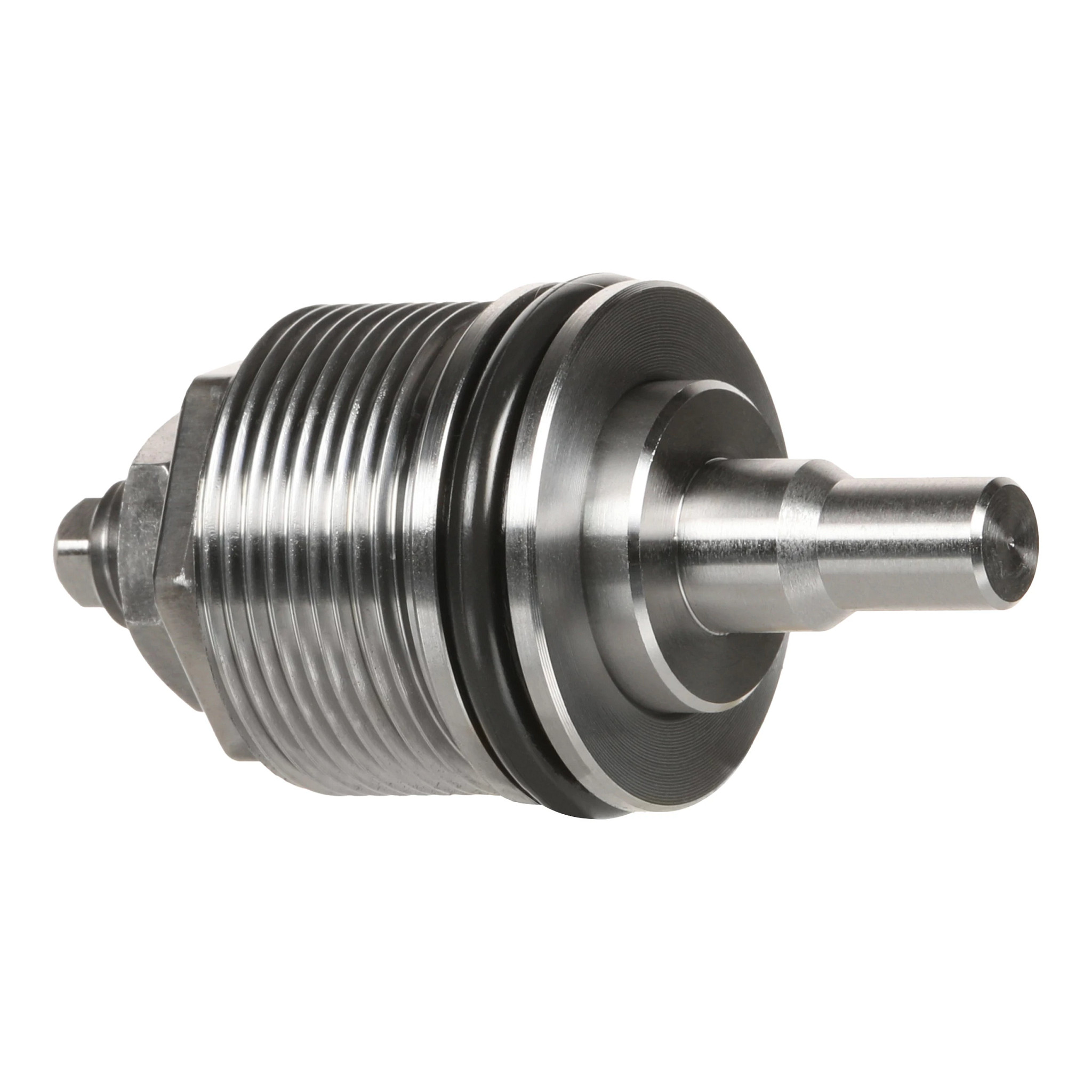 Plug | CASECE | CA | EN