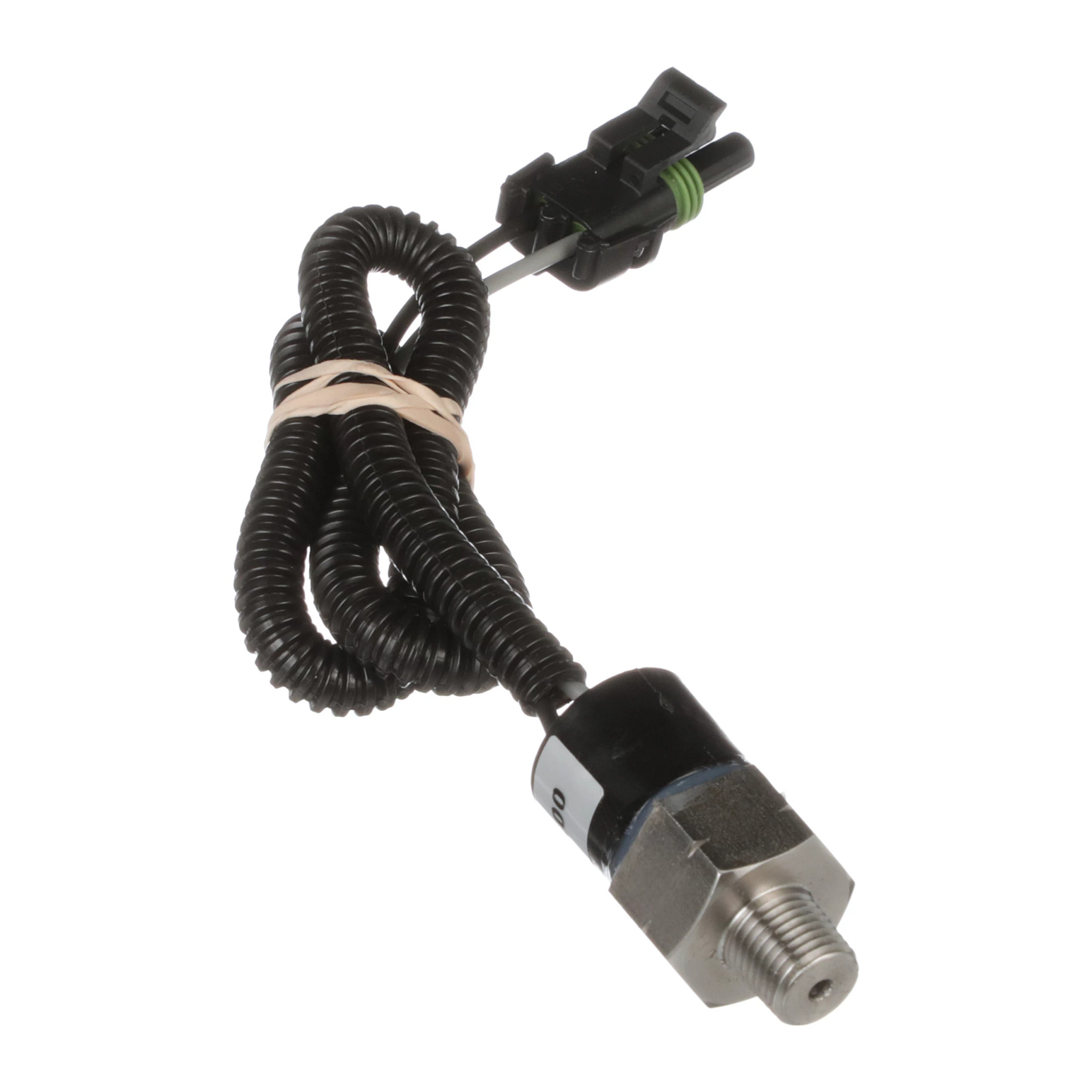 SWITCH | CASECE | US | EN