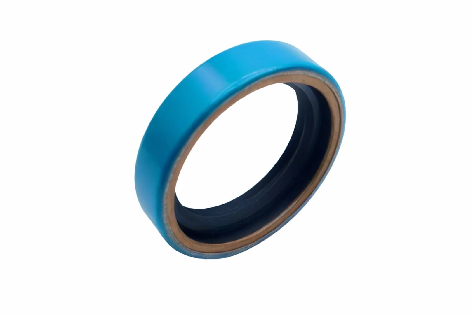 OIL SEAL | NEWHOLLANDAG | CA | EN